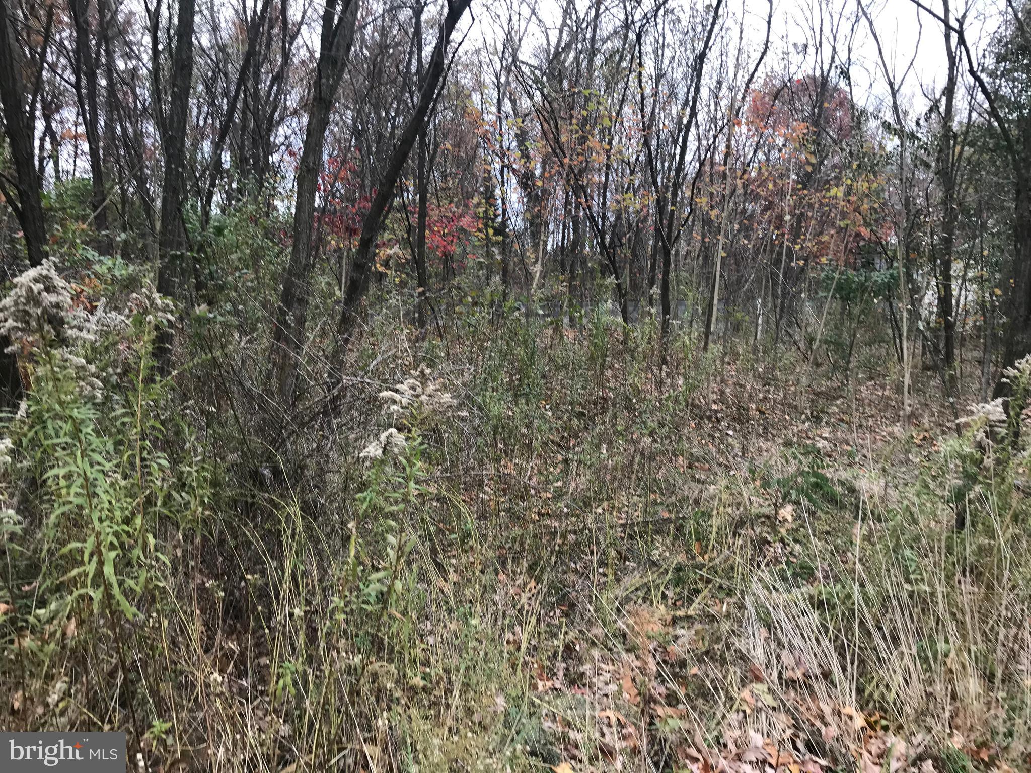 11813 ILLINOIS AVENUE