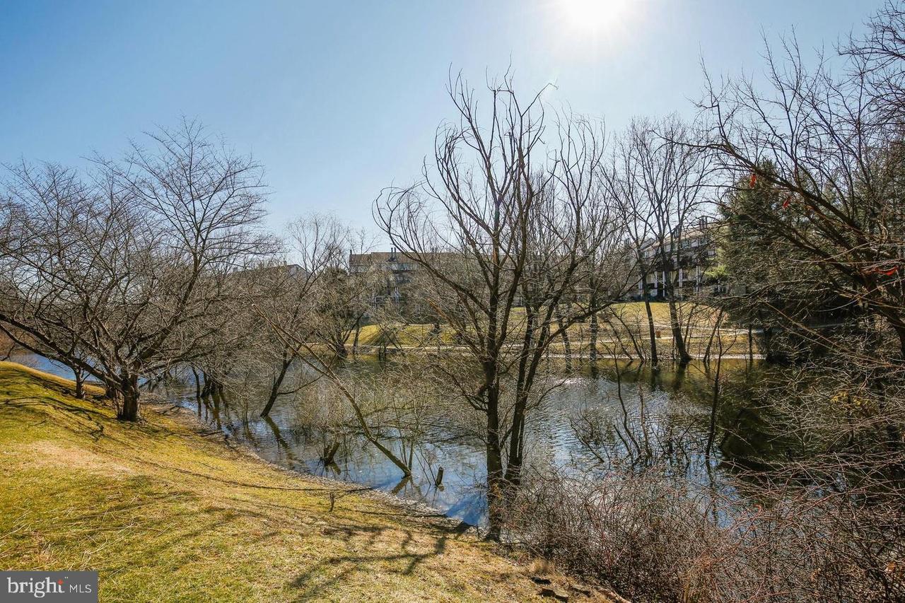 FAIR HILL - Residential Lease