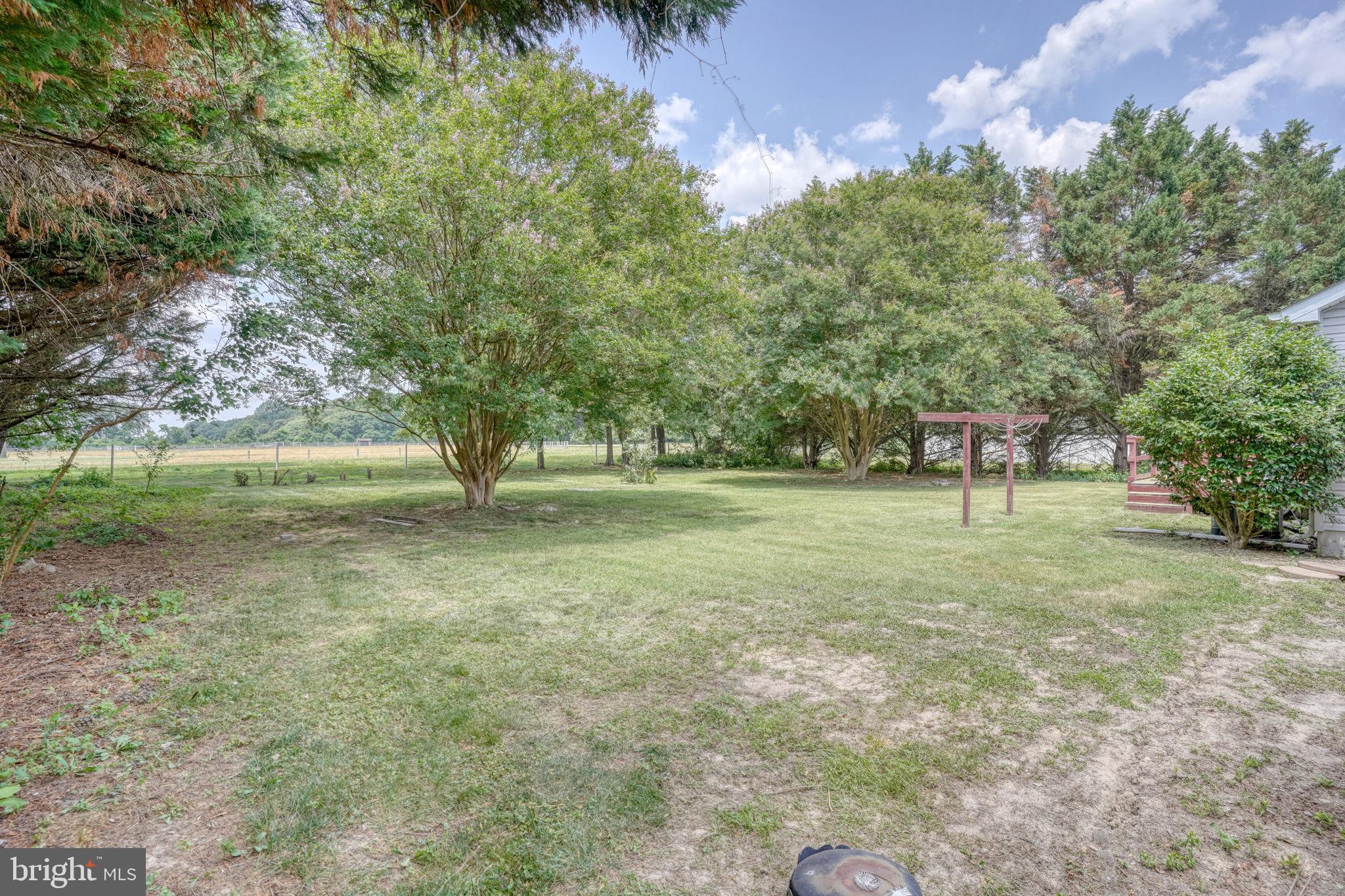 31 LADY SLIPPER LANE