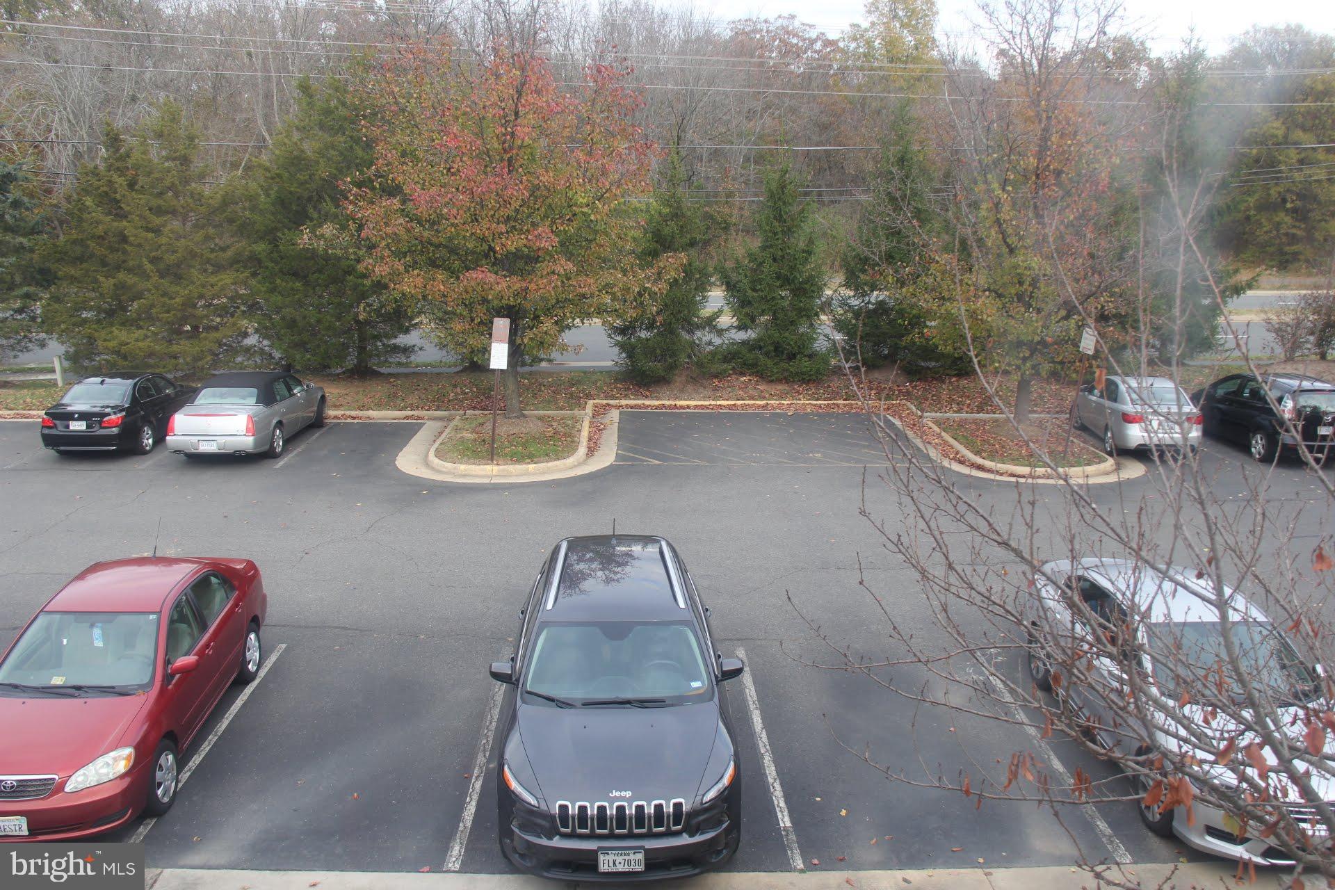 MONROE CHASE - Residential Lease