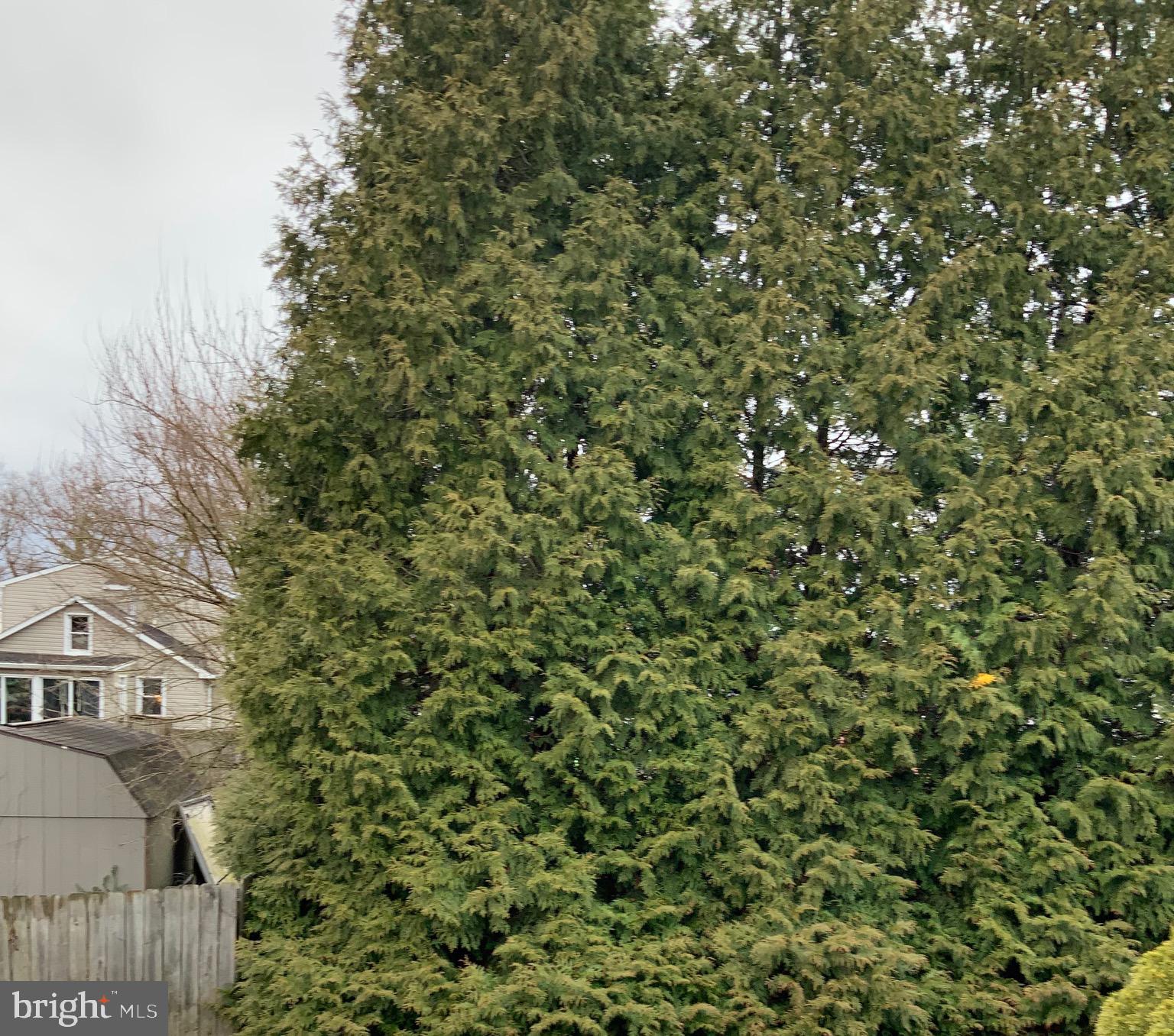 LOGANS RUN - Residential