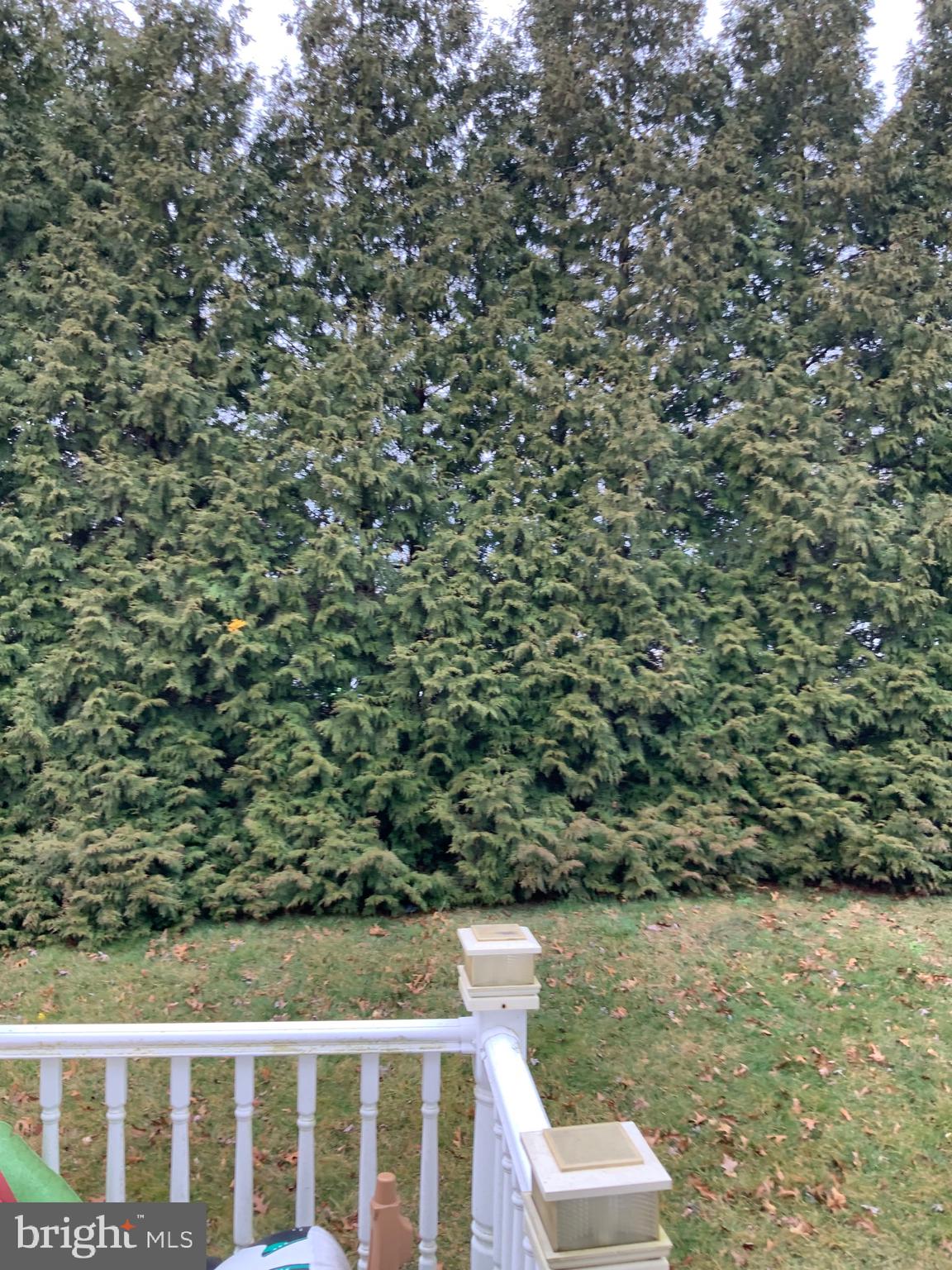 LOGANS RUN - Residential