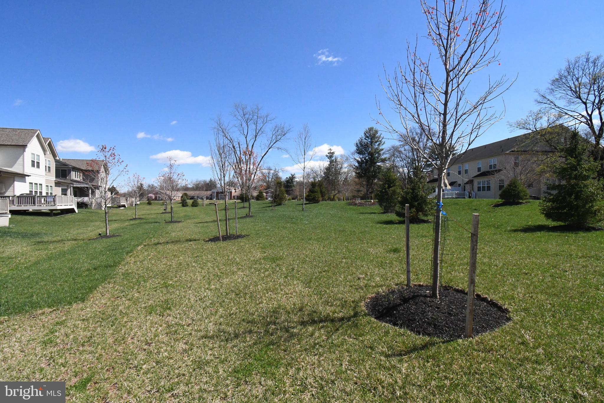 GWYNEDD PARK - Residential