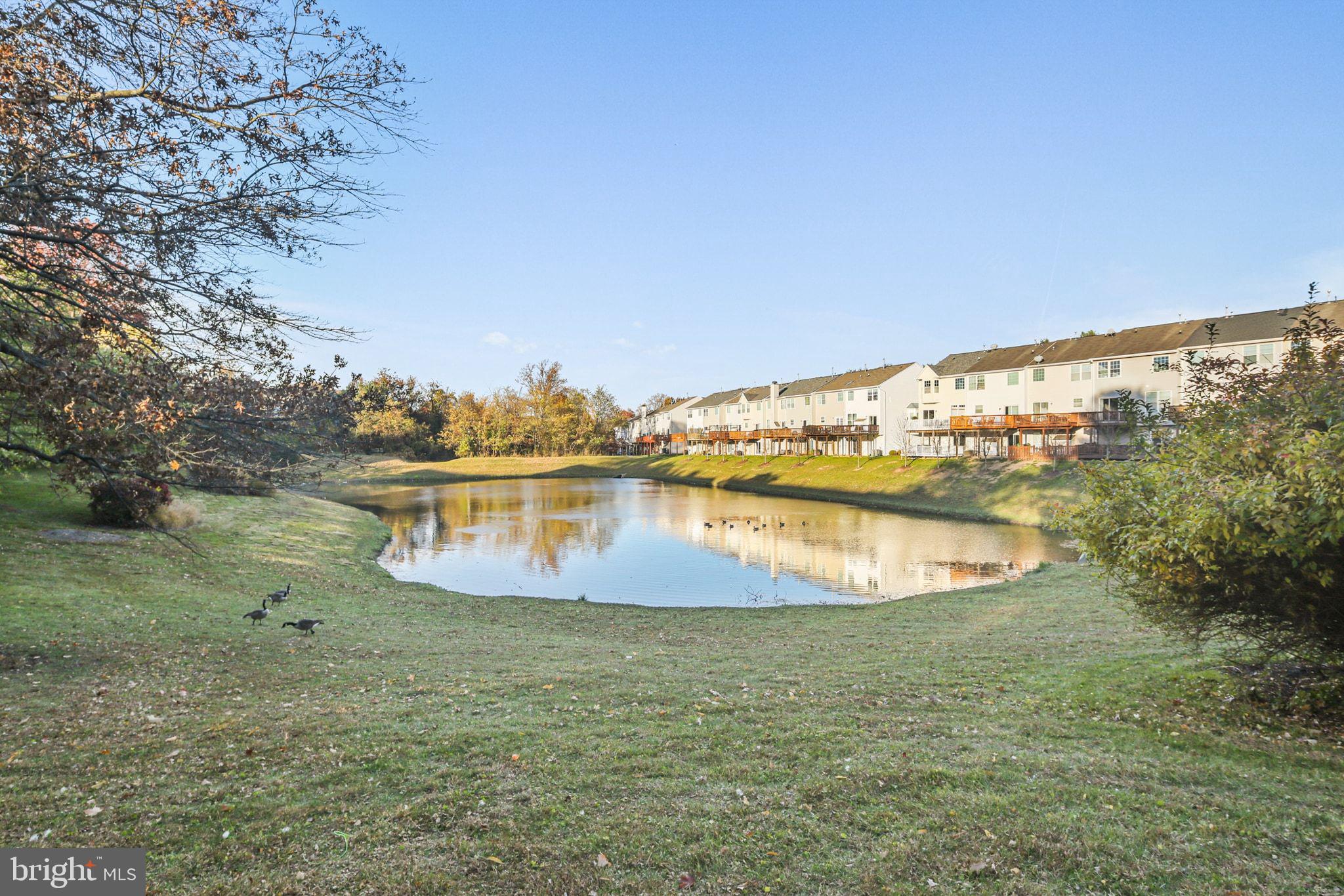 MDG CORPORATE CENTER - Residential