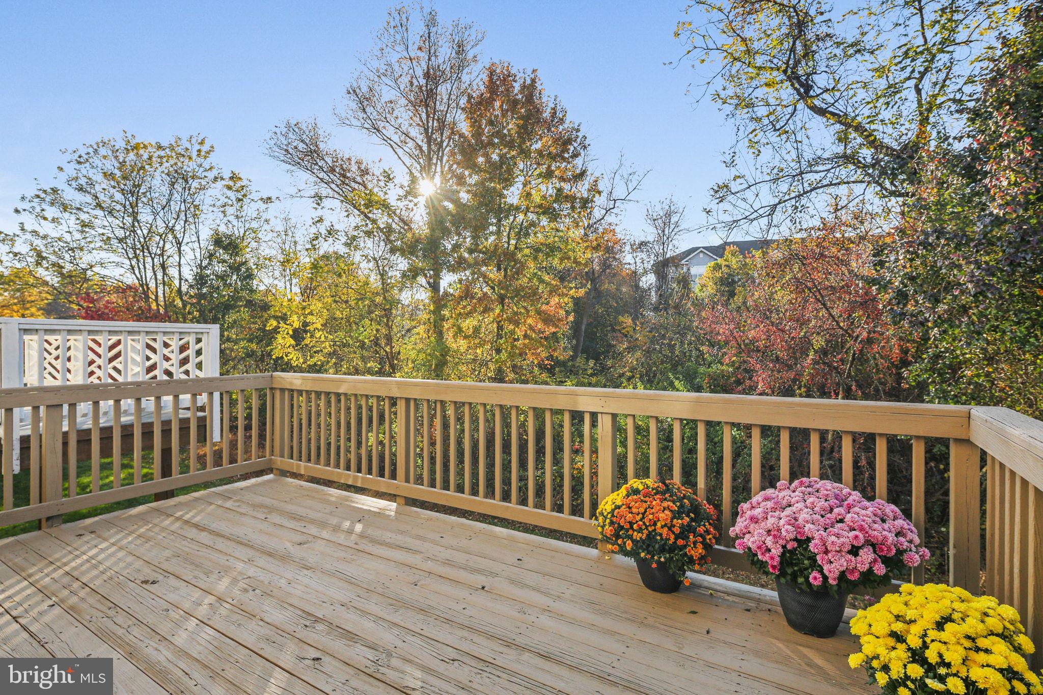 MDG CORPORATE CENTER - Residential