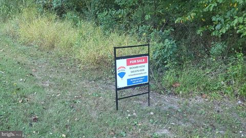 Vacant Land For Sale - 835 North Lake Shore Drive<br/> LOUISA, VA 23093