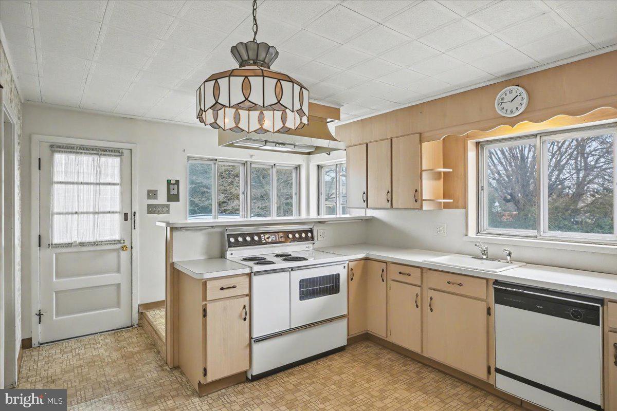 HAMILTON PARK - Residential