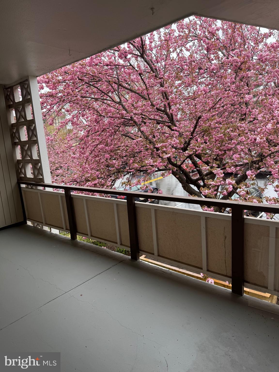 7553 SPRINGLAKE DRIVE D