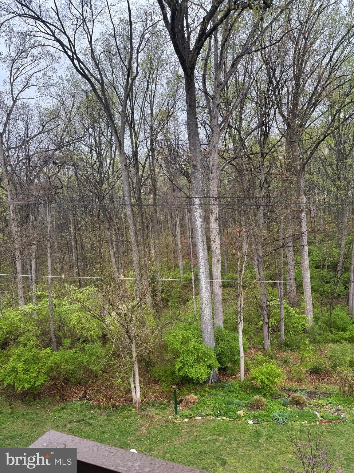 SPRINGLAKE - Residential