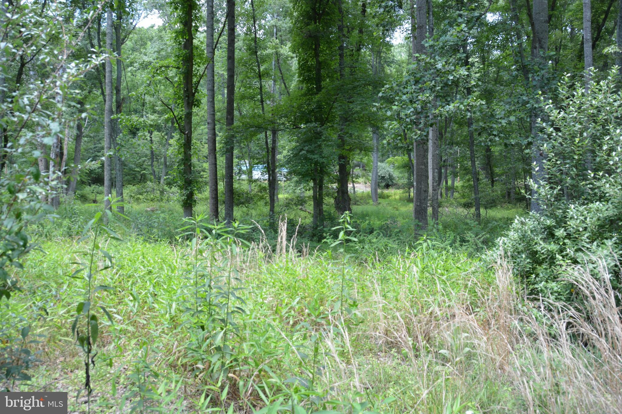 RITTERS HIDDEN VALLEY - Land