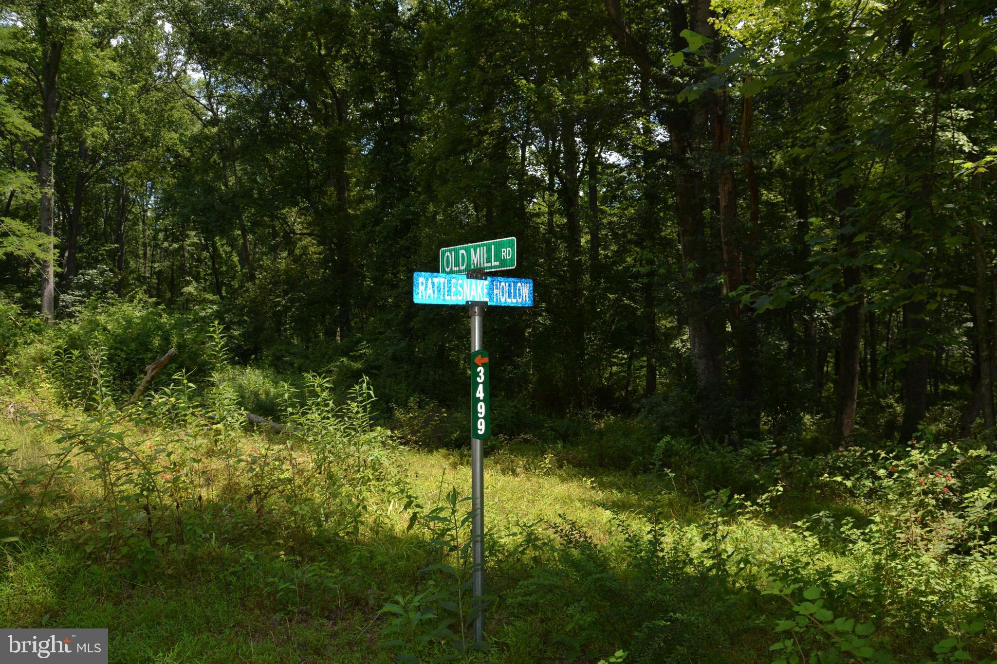 RITTERS HIDDEN VALLEY - Land