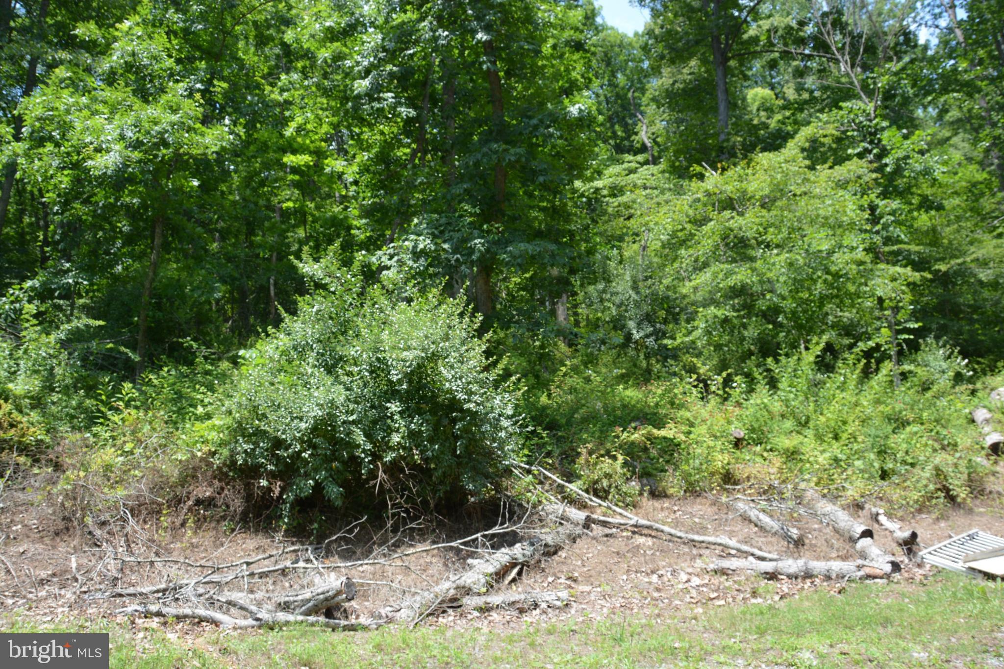 RITTERS HIDDEN VALLEY - Land