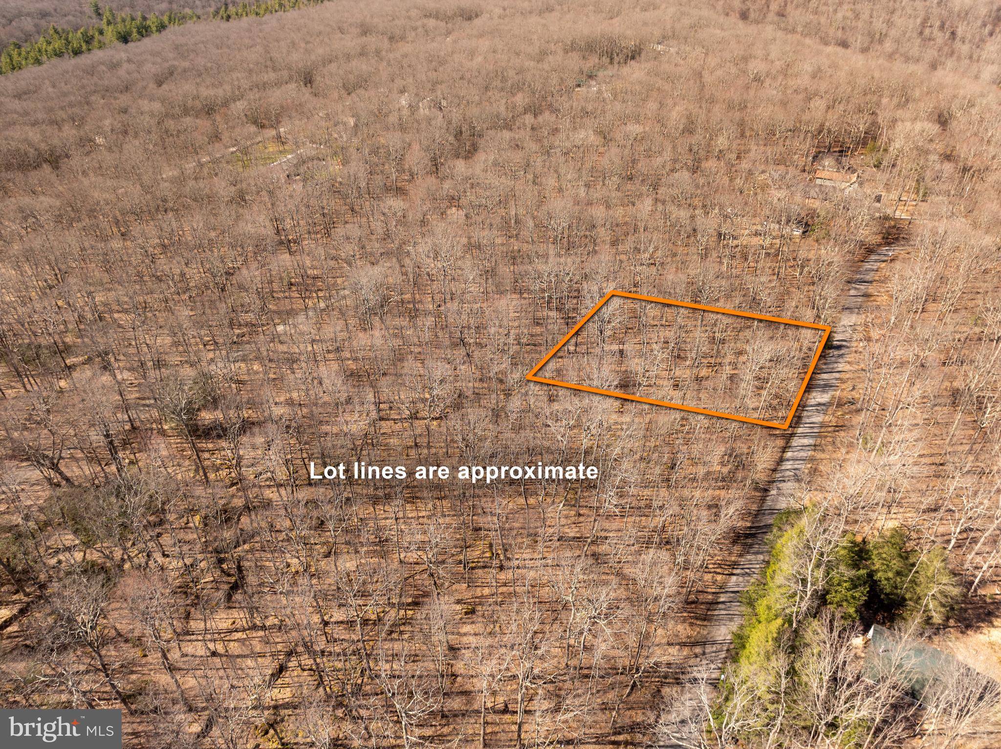 YOUGHIOUGHENY MOUNTAIN - Land