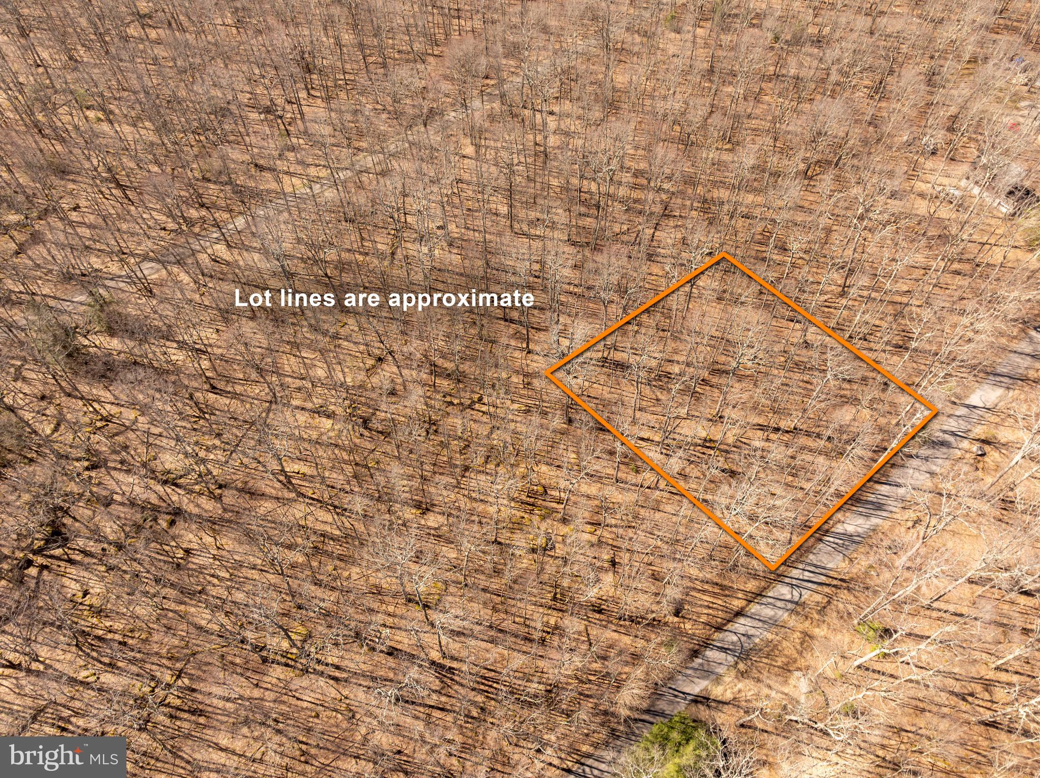 YOUGHIOUGHENY MOUNTAIN - Land