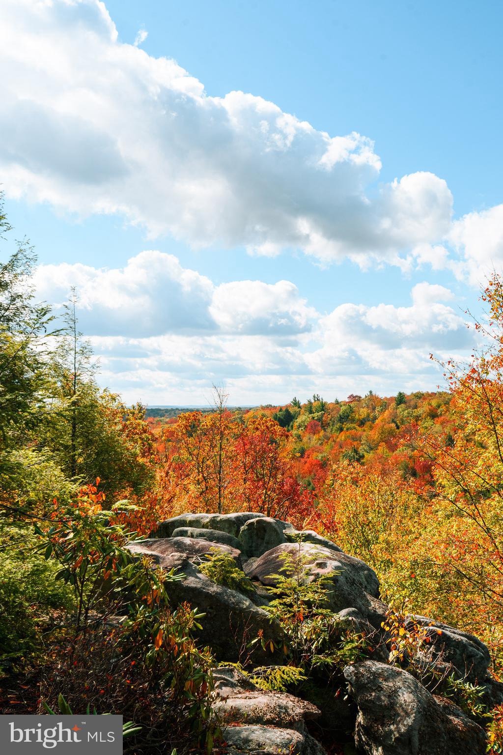 YOUGHIOUGHENY MOUNTAIN - Land