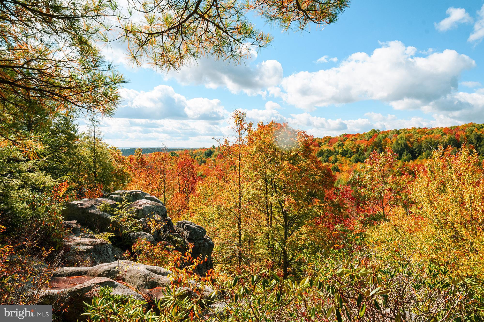 YOUGHIOUGHENY MOUNTAIN - Land