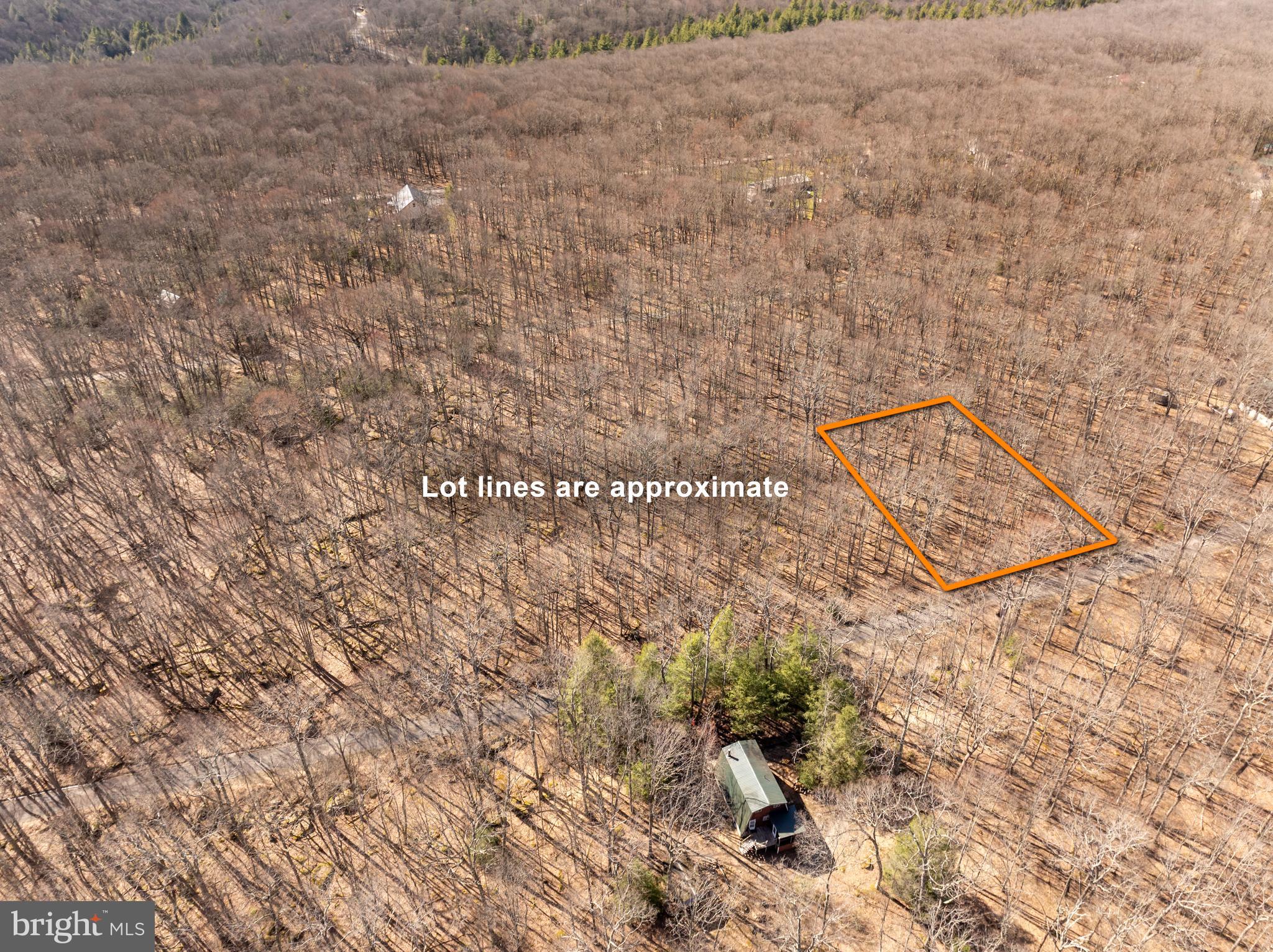 YOUGHIOUGHENY MOUNTAIN - Land