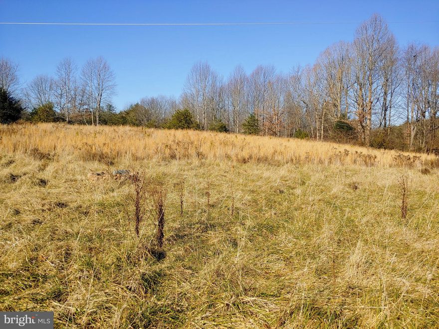 Build your dream home in the rural part of Spotsylvania County.  Lot is partially cleared and has the start of a driveway.  There is a old concrete well on the property bu no knowledge of the condition.