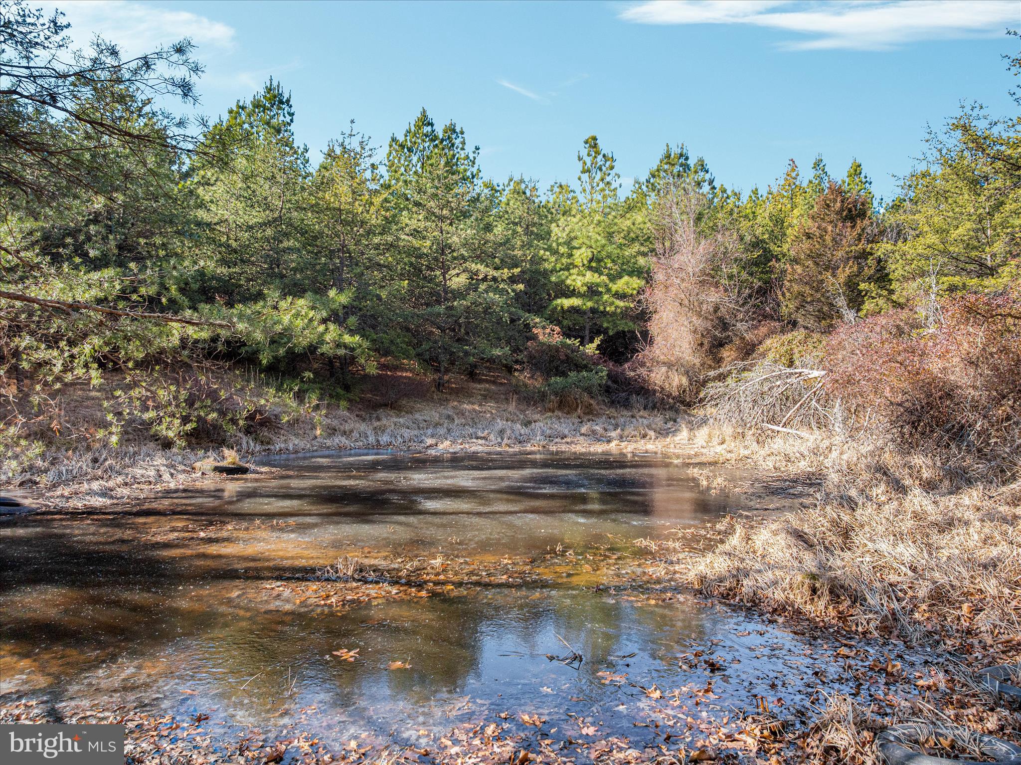 1990 COLLINSVILLE ROAD