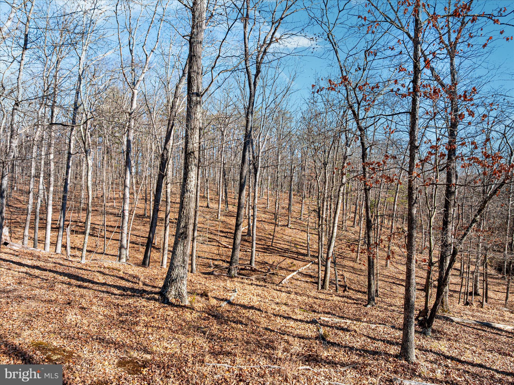 1990 COLLINSVILLE ROAD