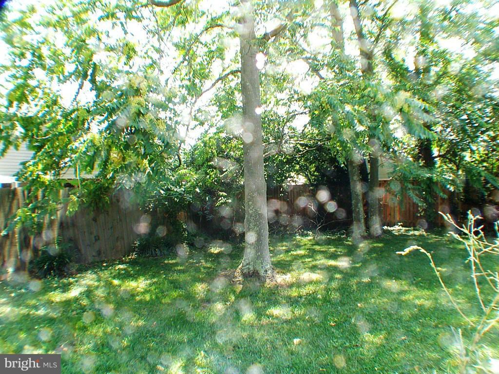 CARLISLE HEIGHTS - Residential