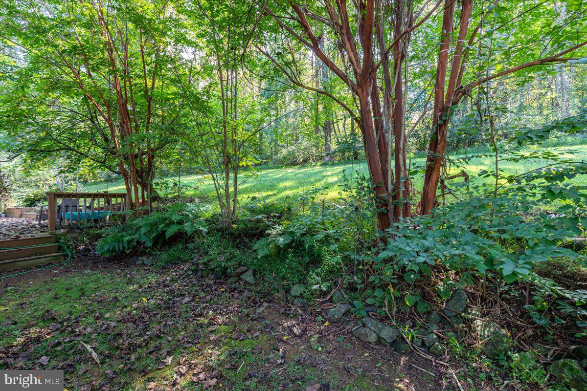 LAKE FRONT ROYAL - Residential