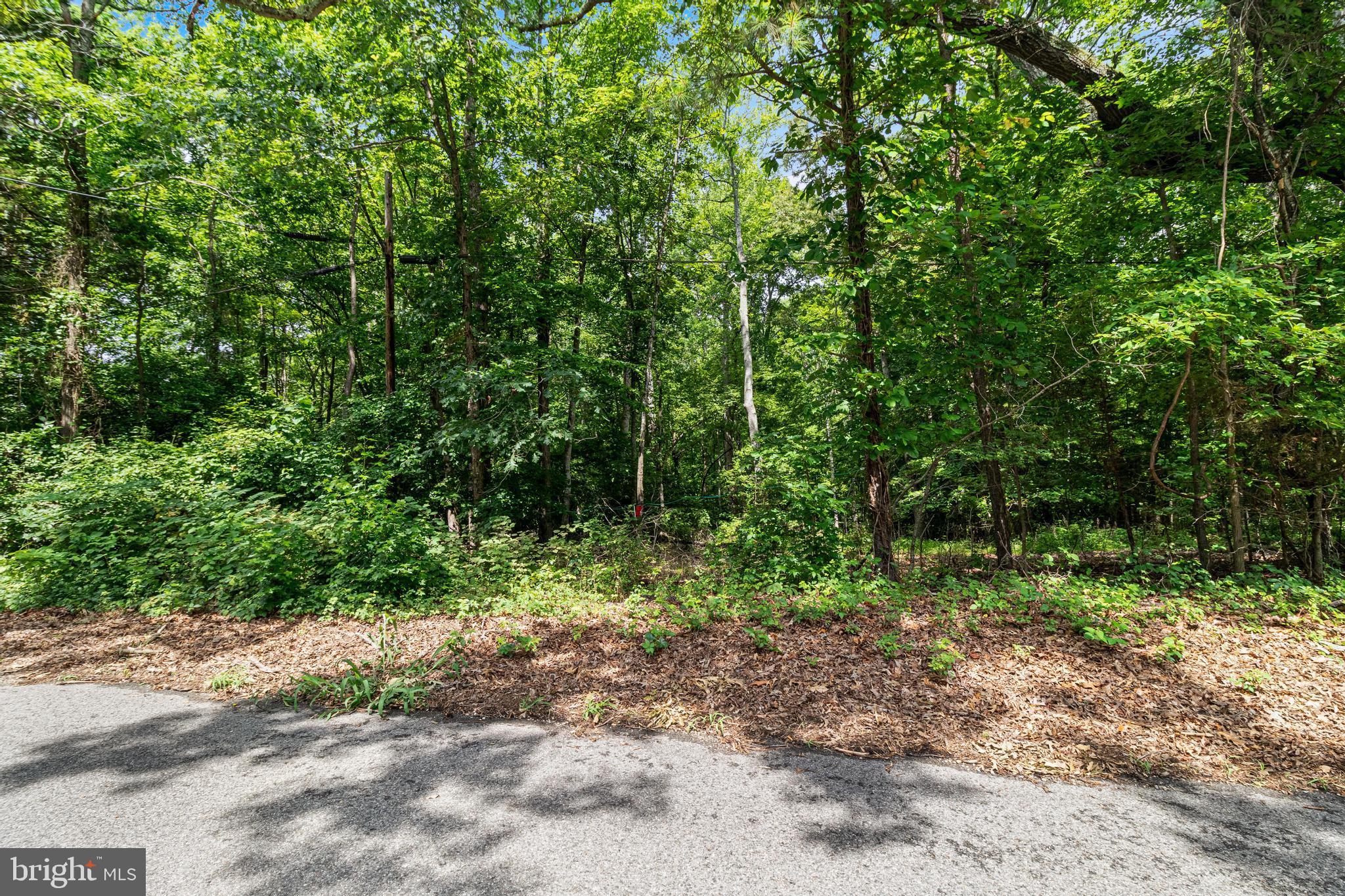 SHILOH CHURCH ROAD