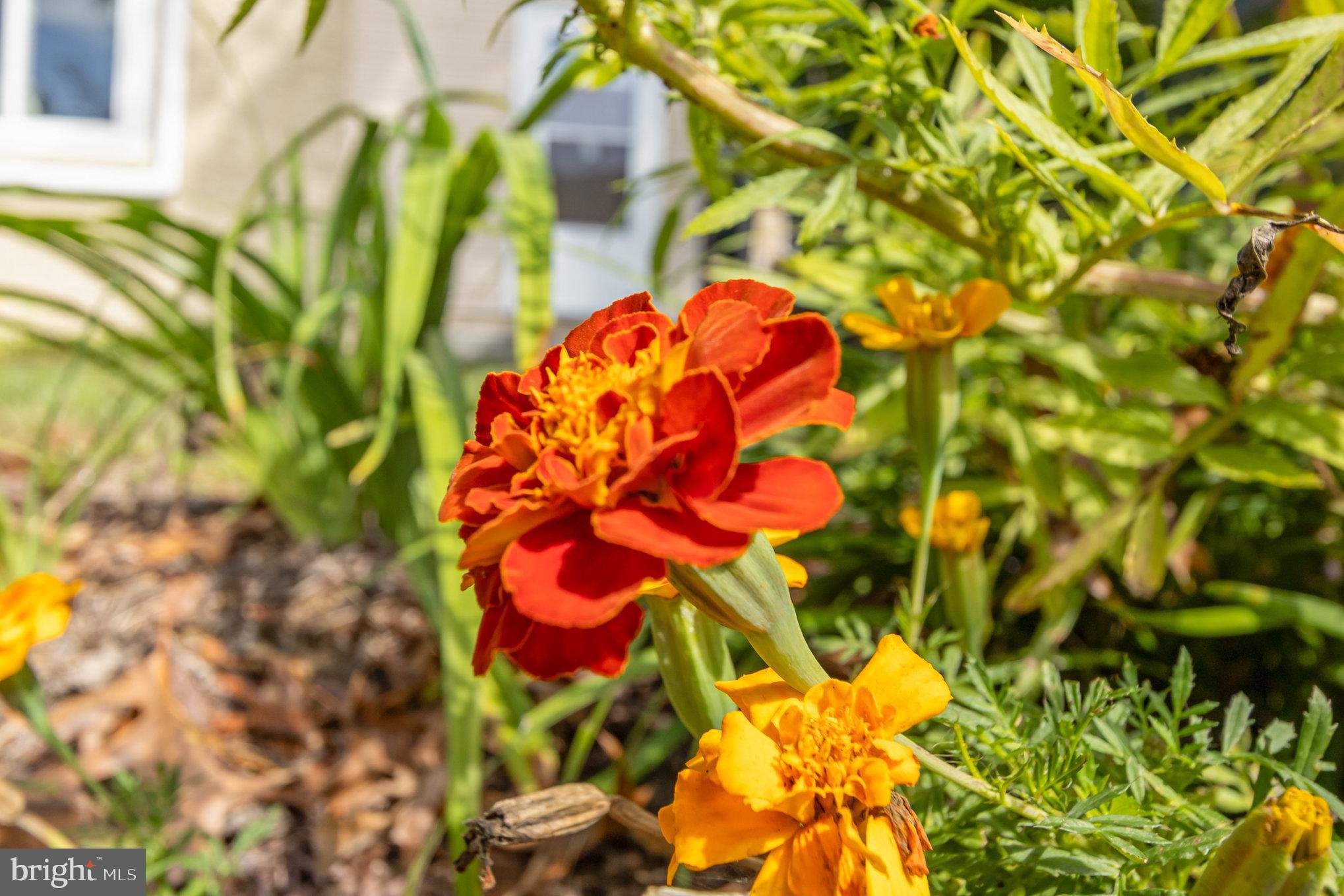 WOODLAND BEACH - Residential