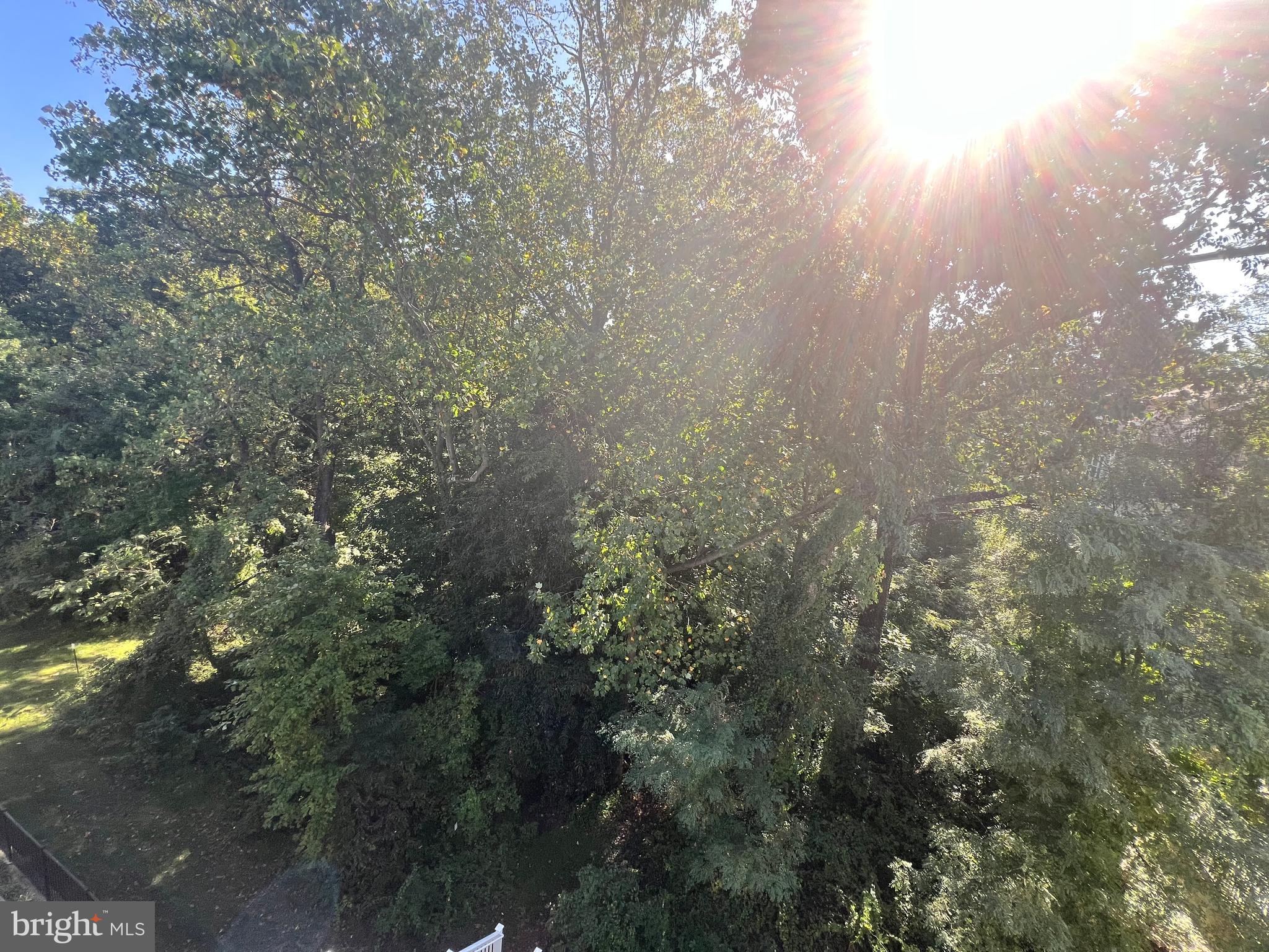 ANNAPOLIS NECK - Residential Lease