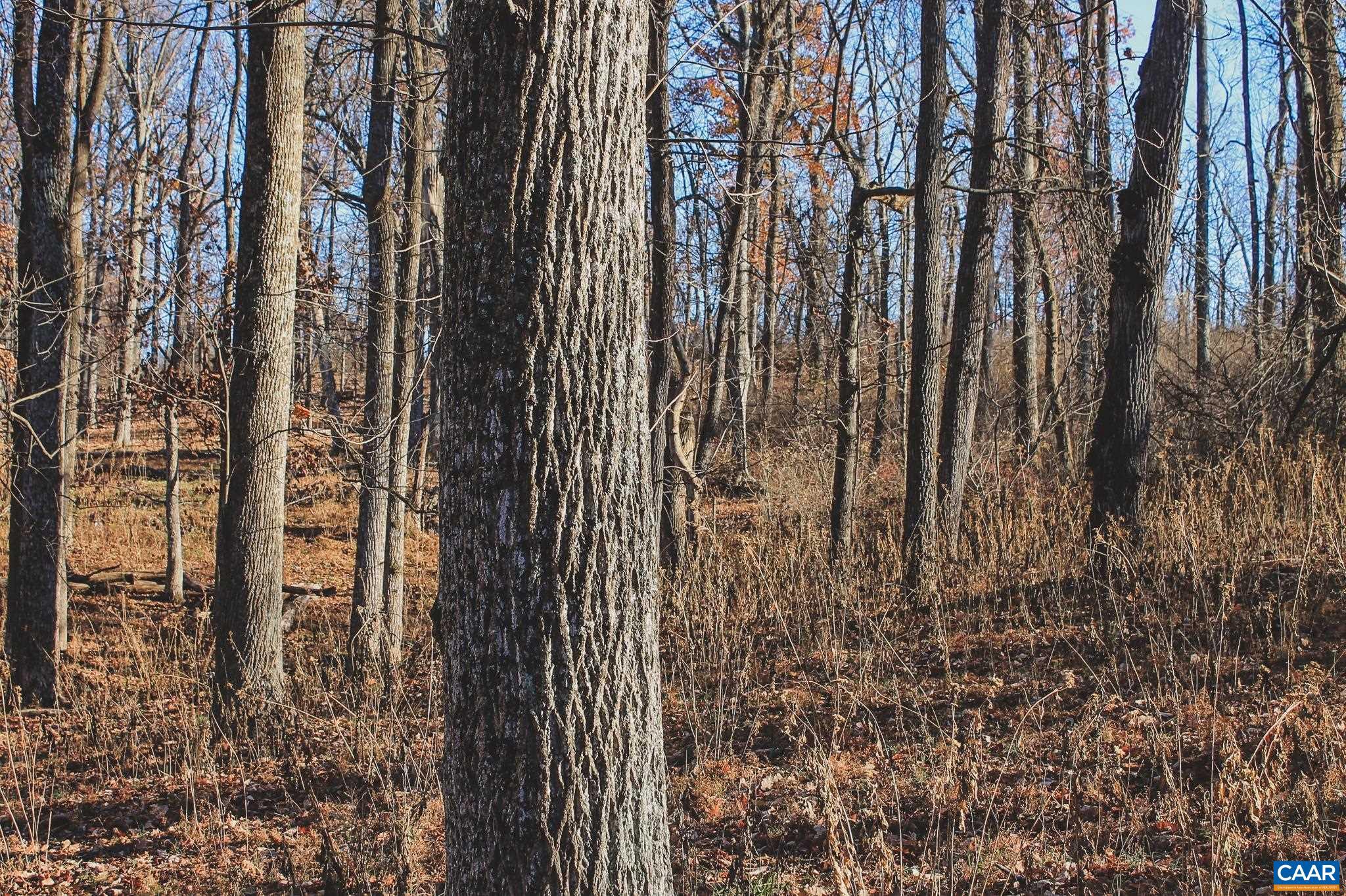 NONE AVAILABLE - Land