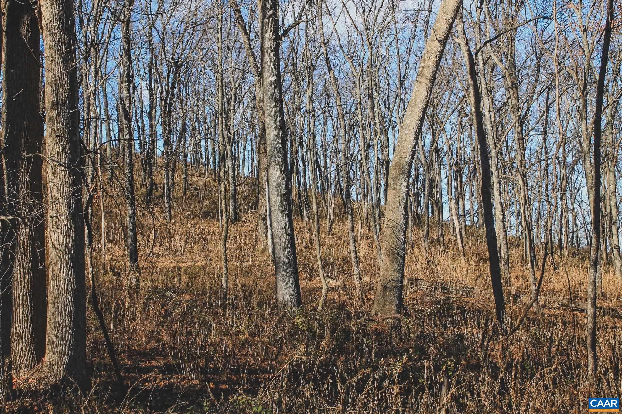 NONE AVAILABLE - Land