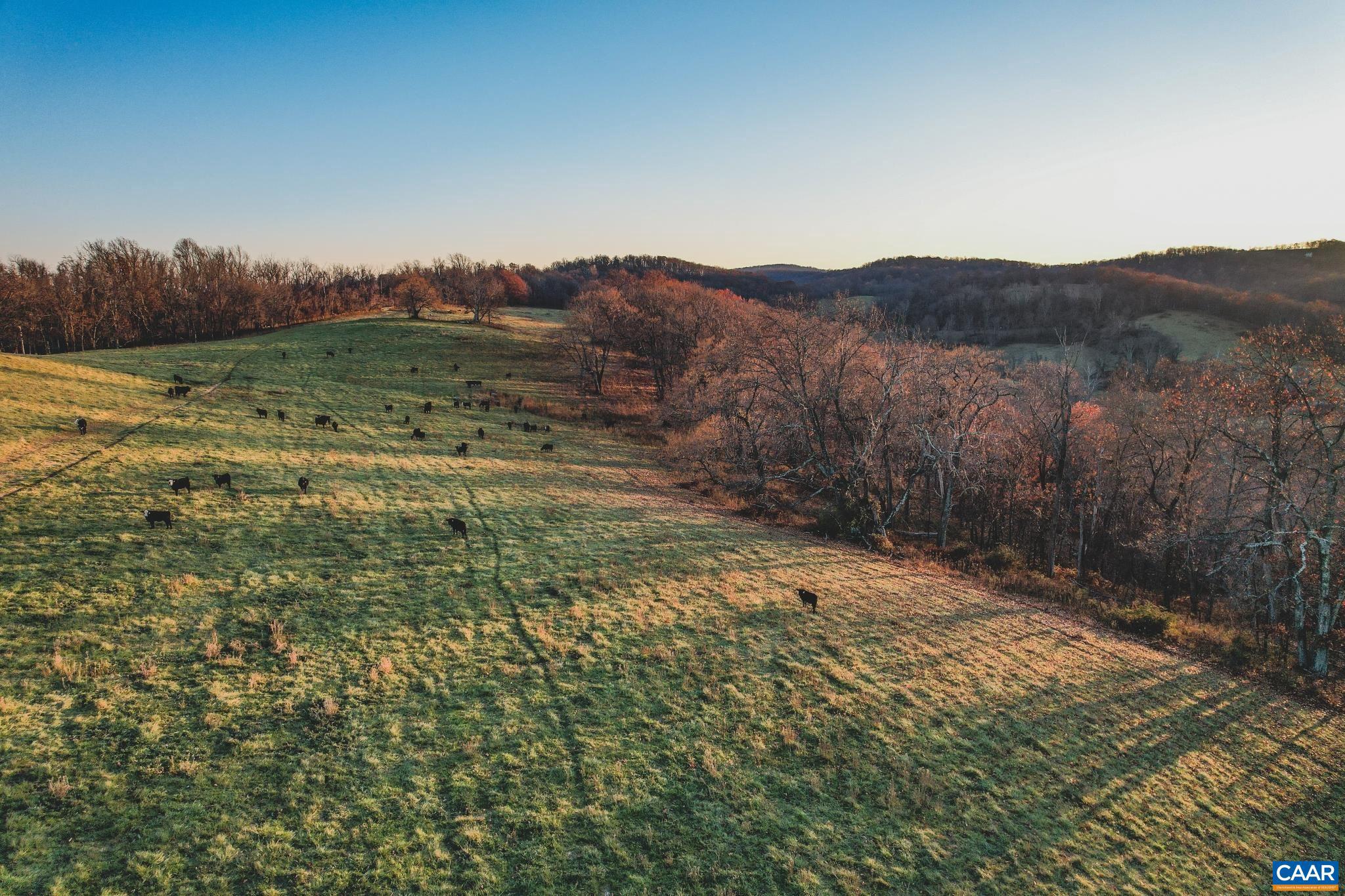 NONE AVAILABLE - Land