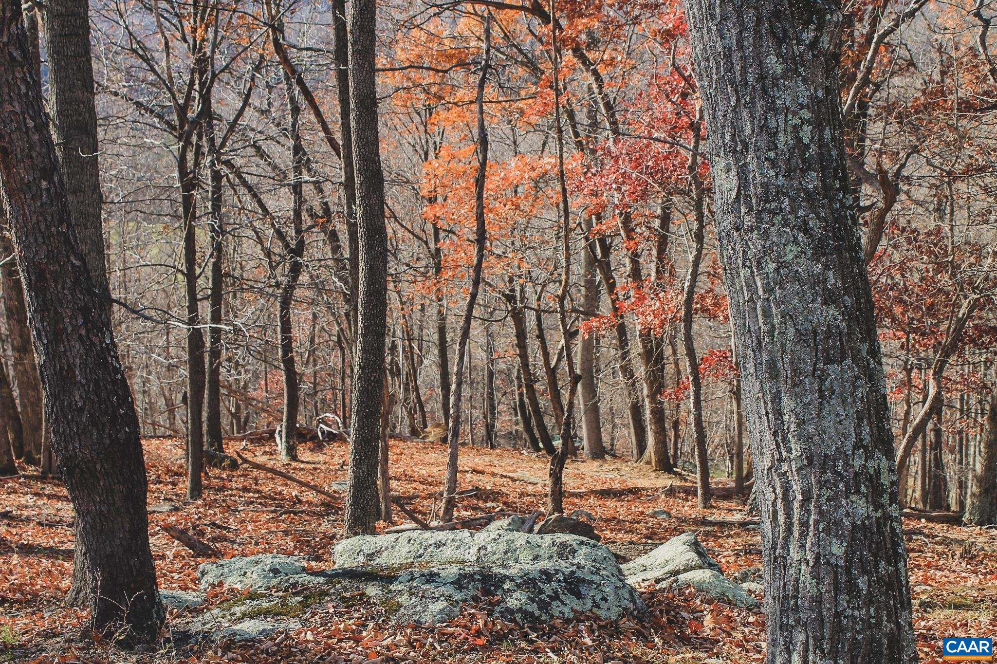 NONE AVAILABLE - Land