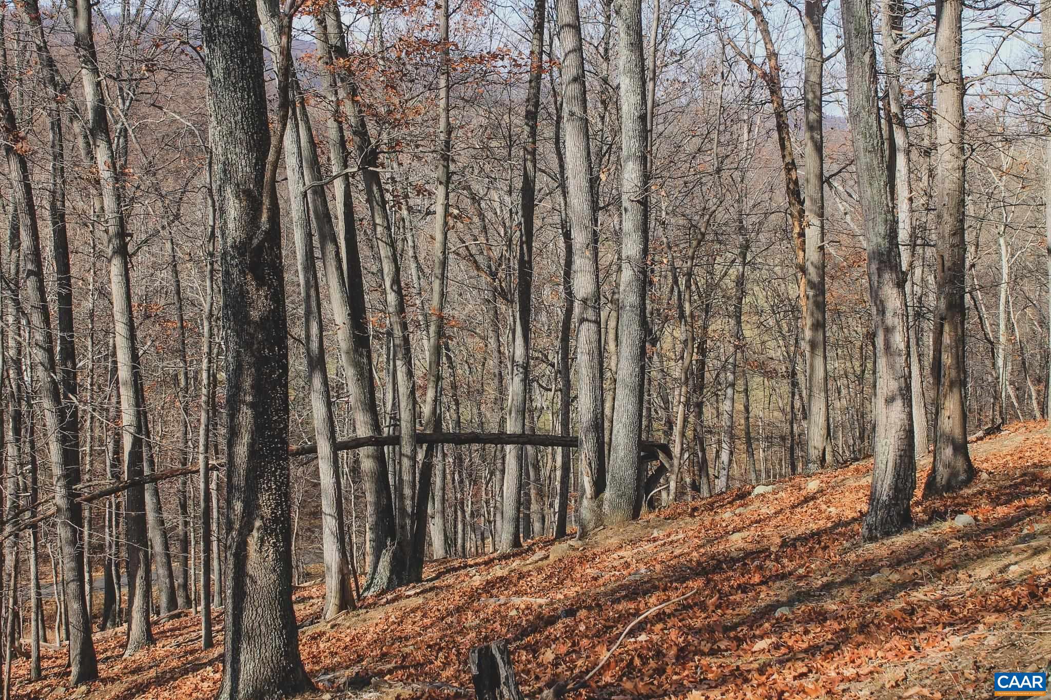 NONE AVAILABLE - Land