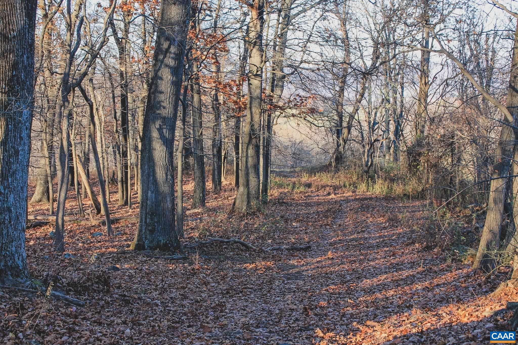 NONE AVAILABLE - Land