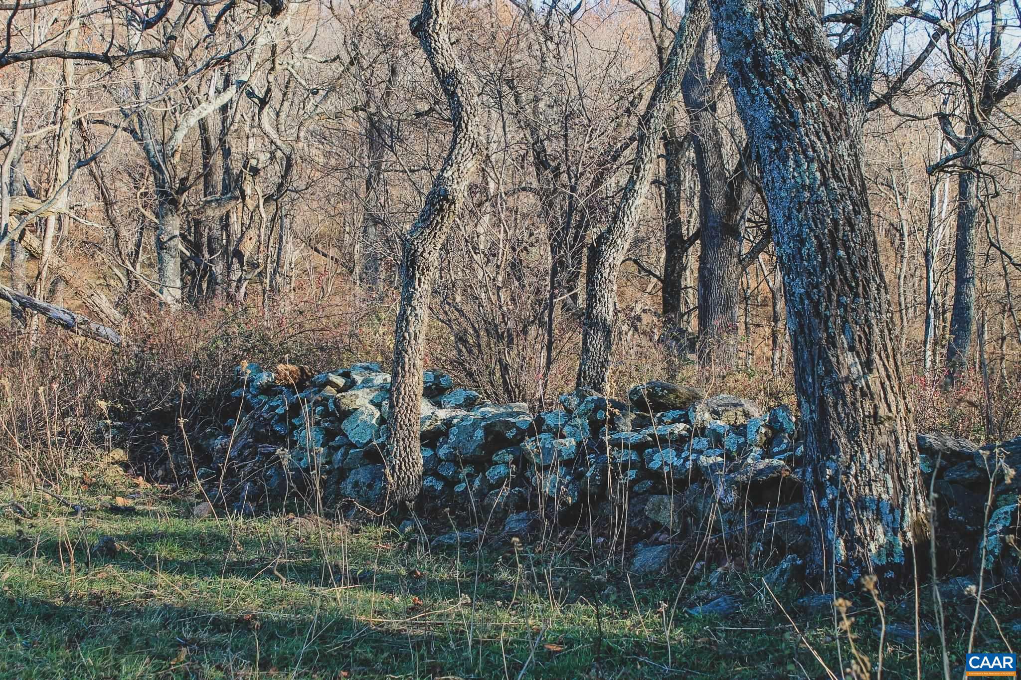 NONE AVAILABLE - Land