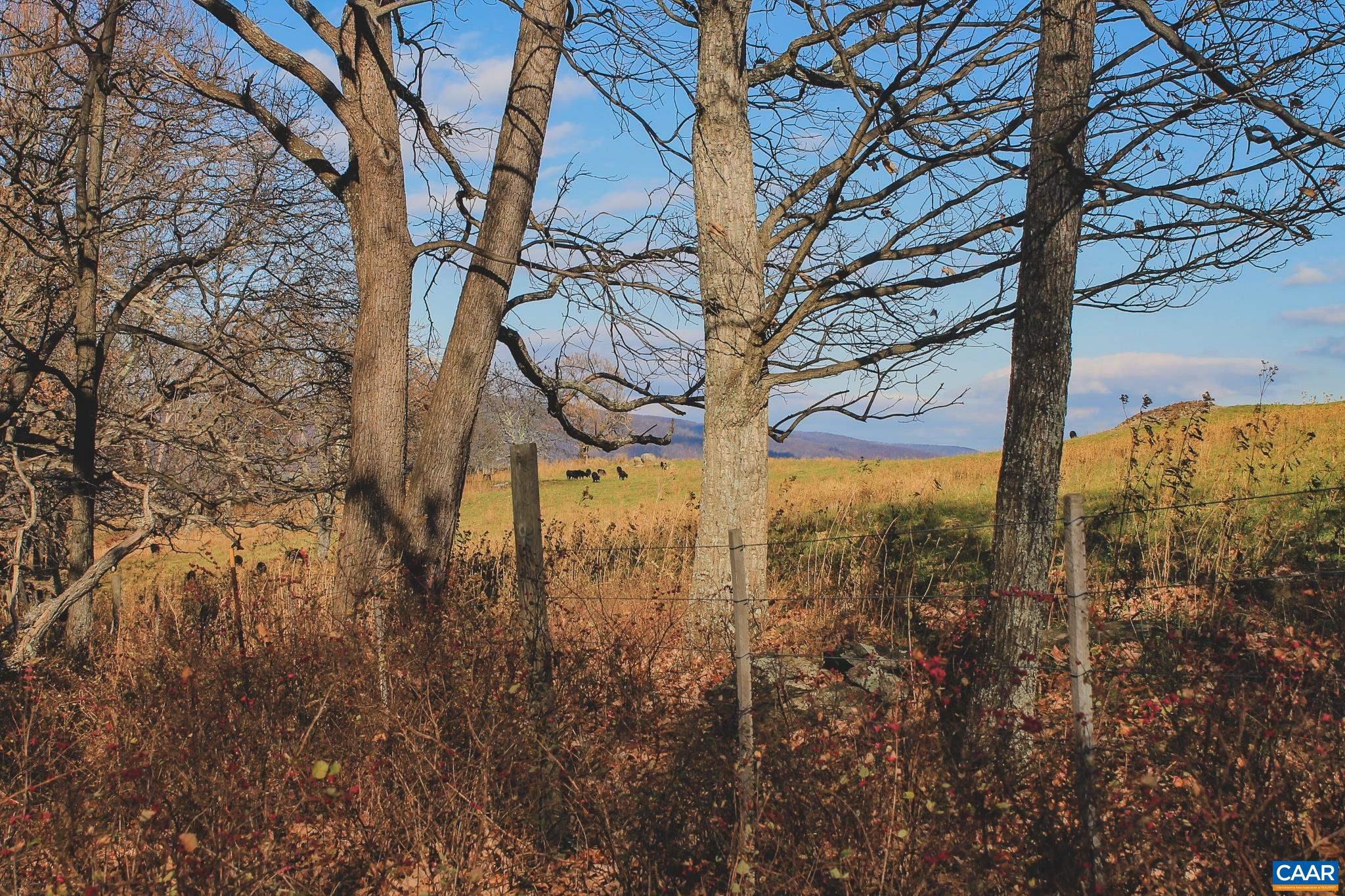 NONE AVAILABLE - Land