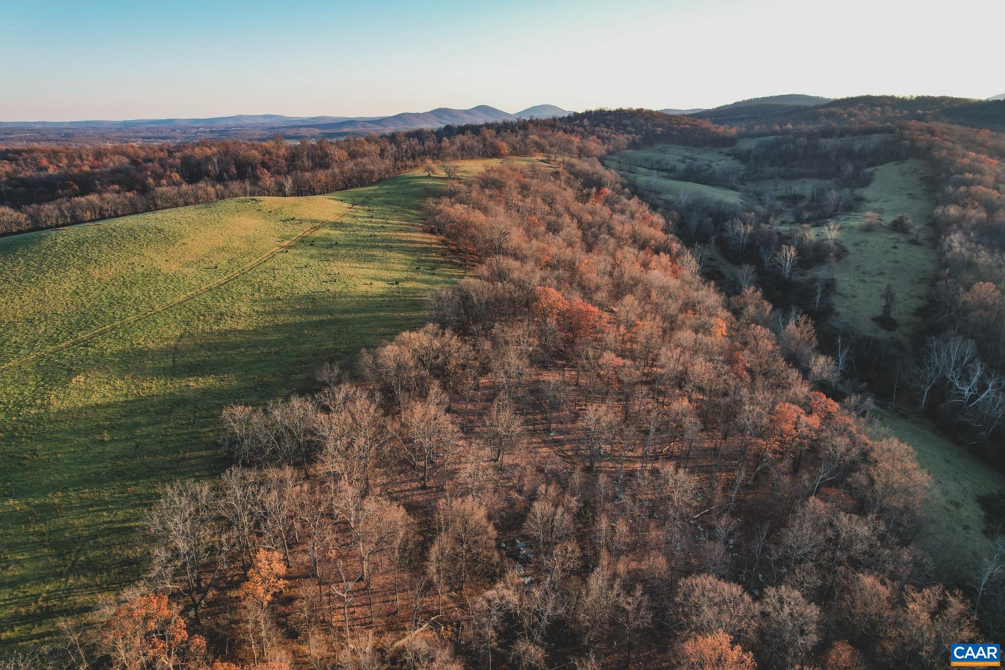 NONE AVAILABLE - Land