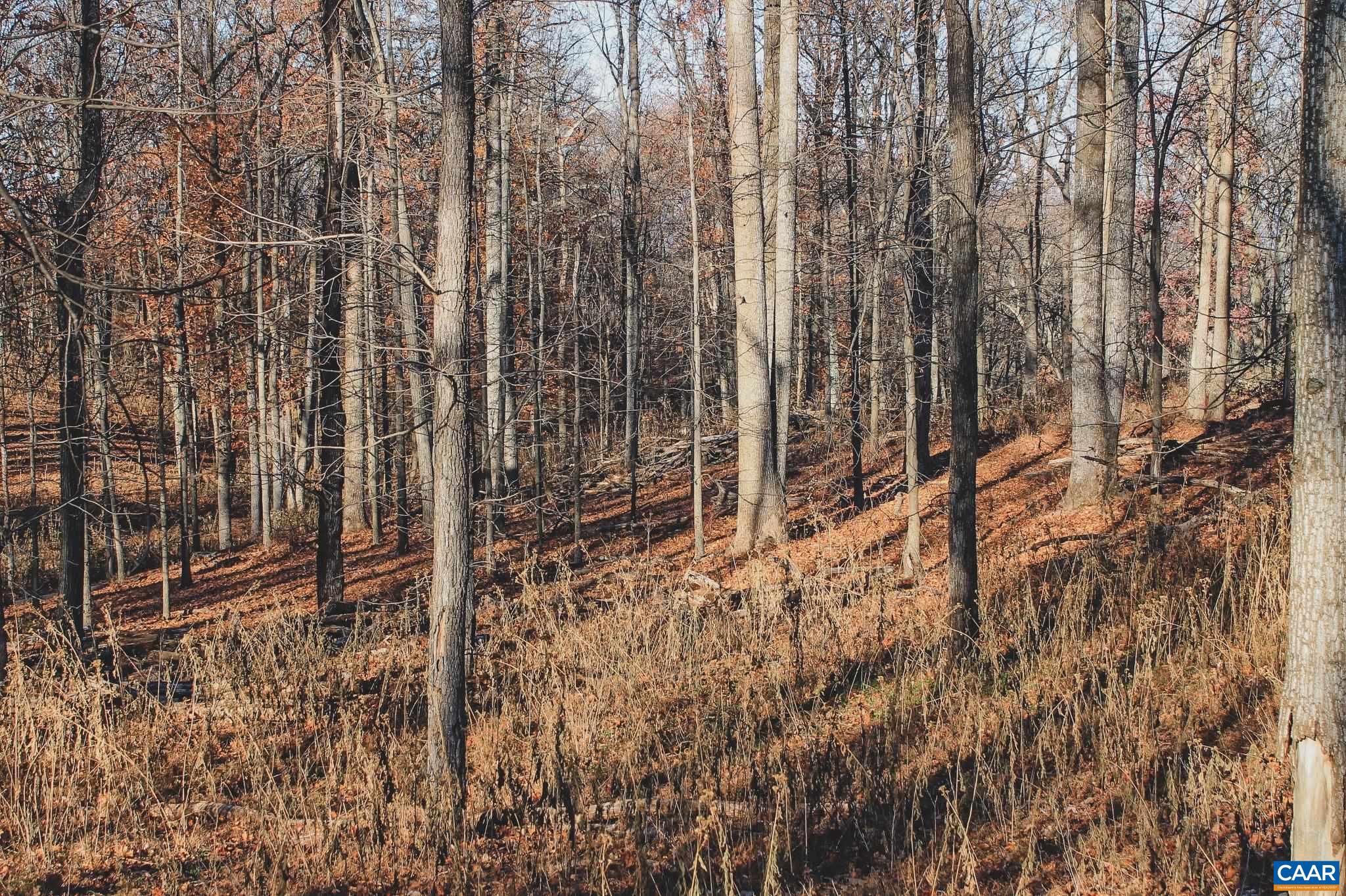 NONE AVAILABLE - Land