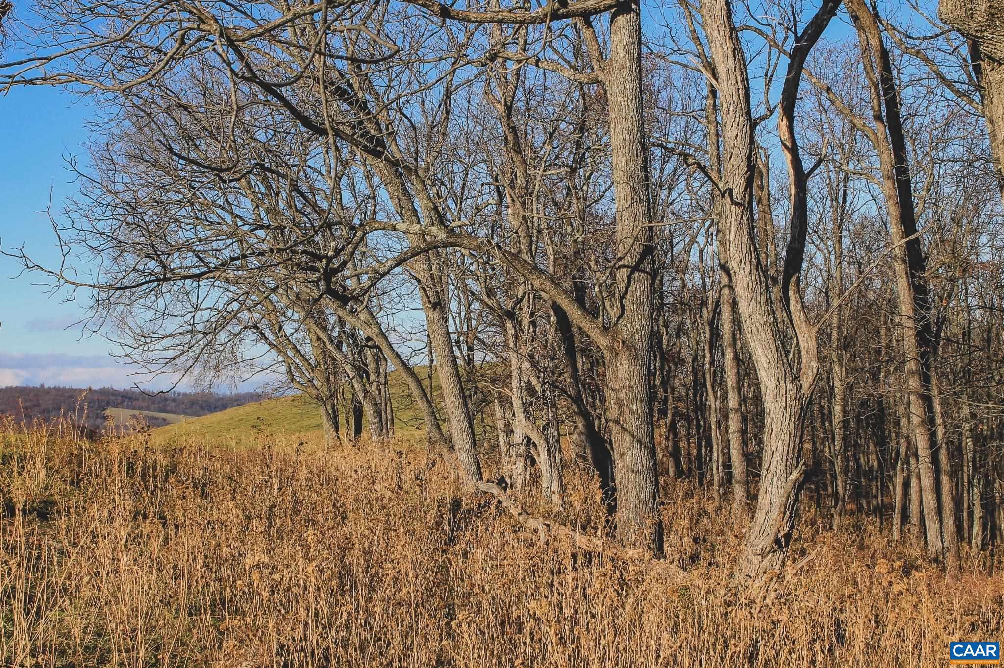 NONE AVAILABLE - Land