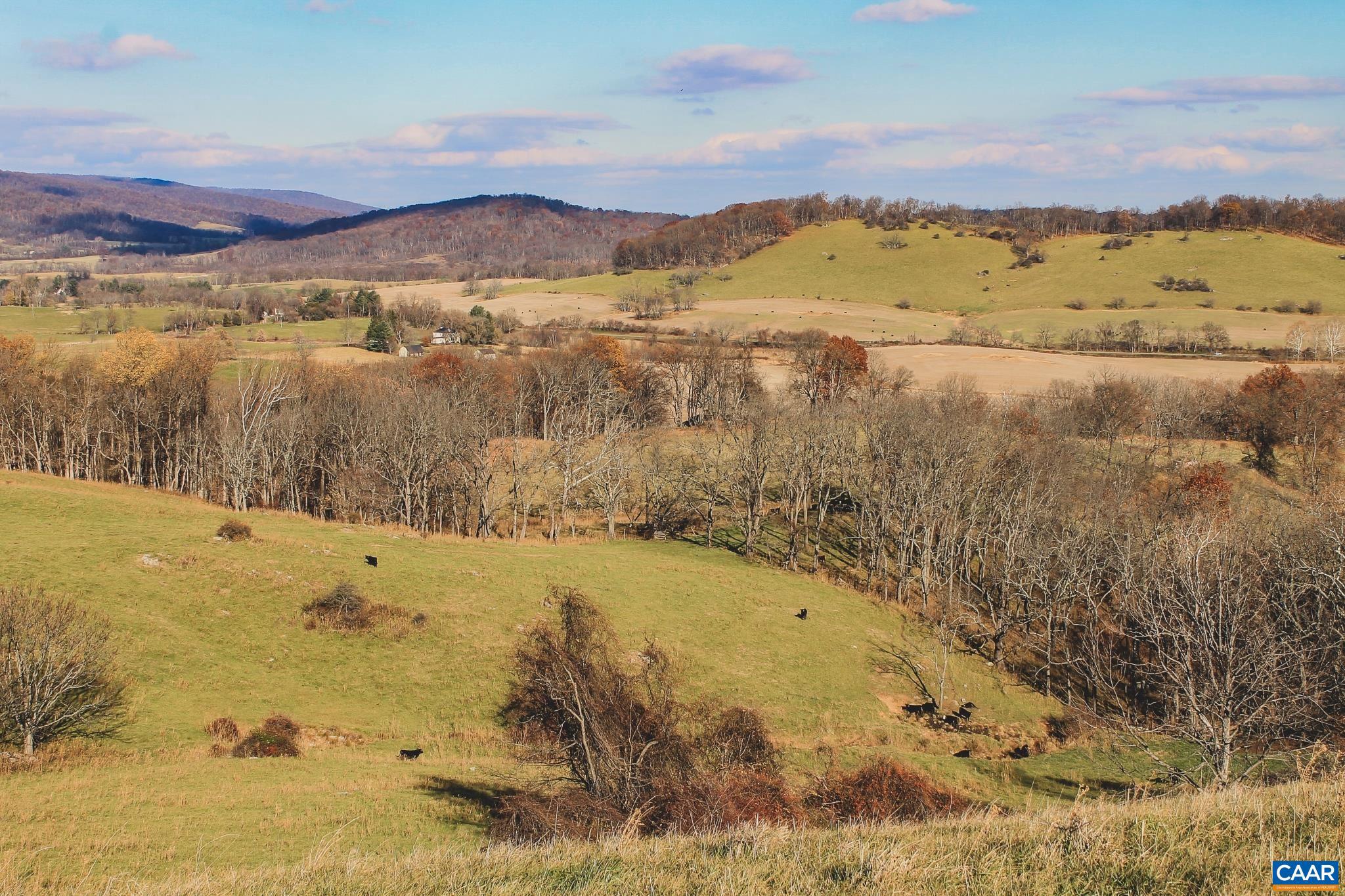 NONE AVAILABLE - Land