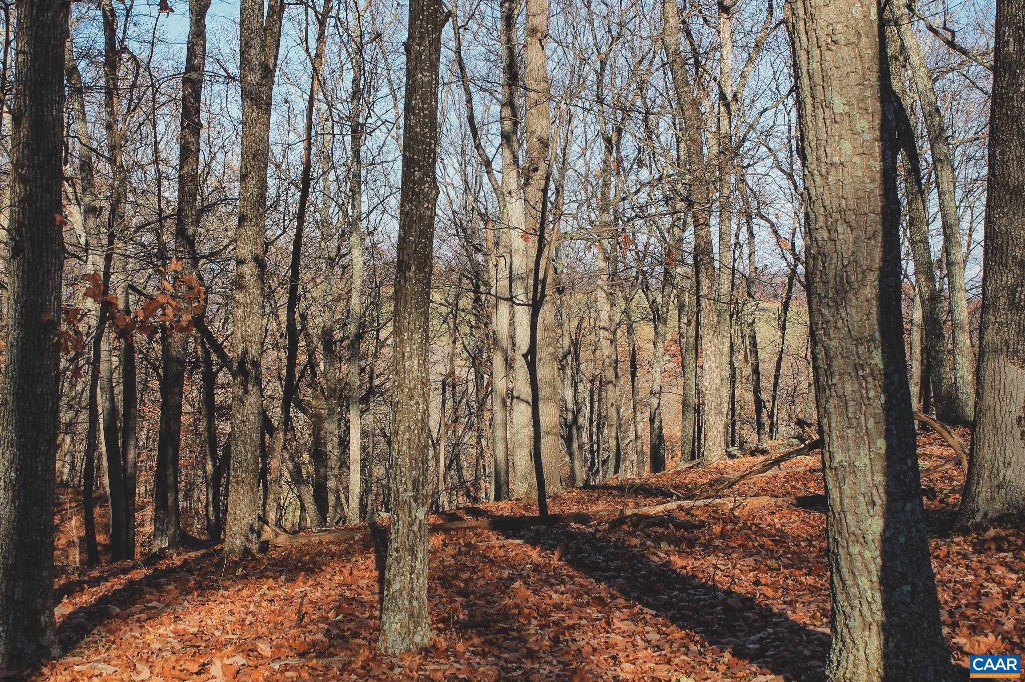 NONE AVAILABLE - Land