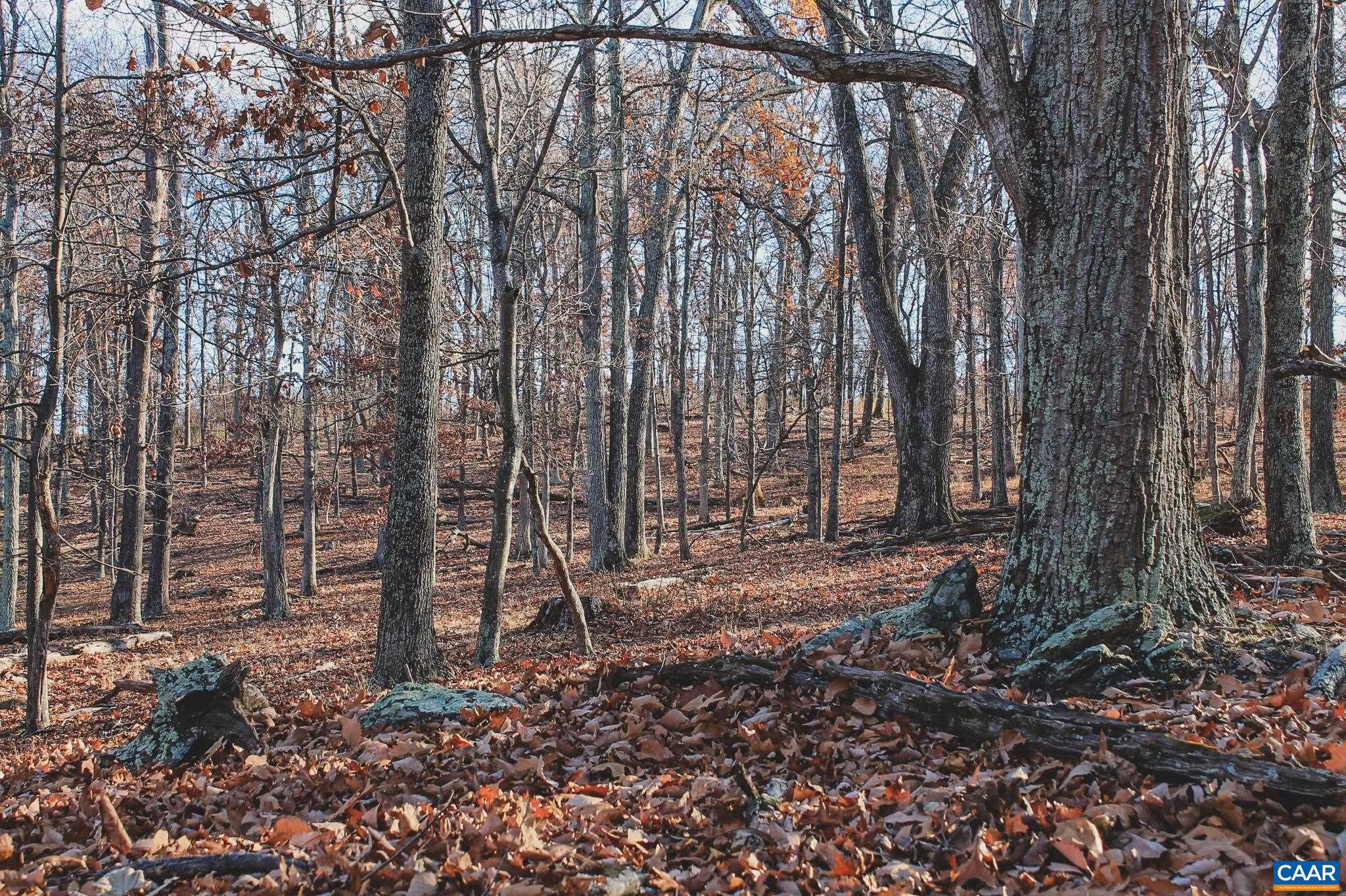 NONE AVAILABLE - Land