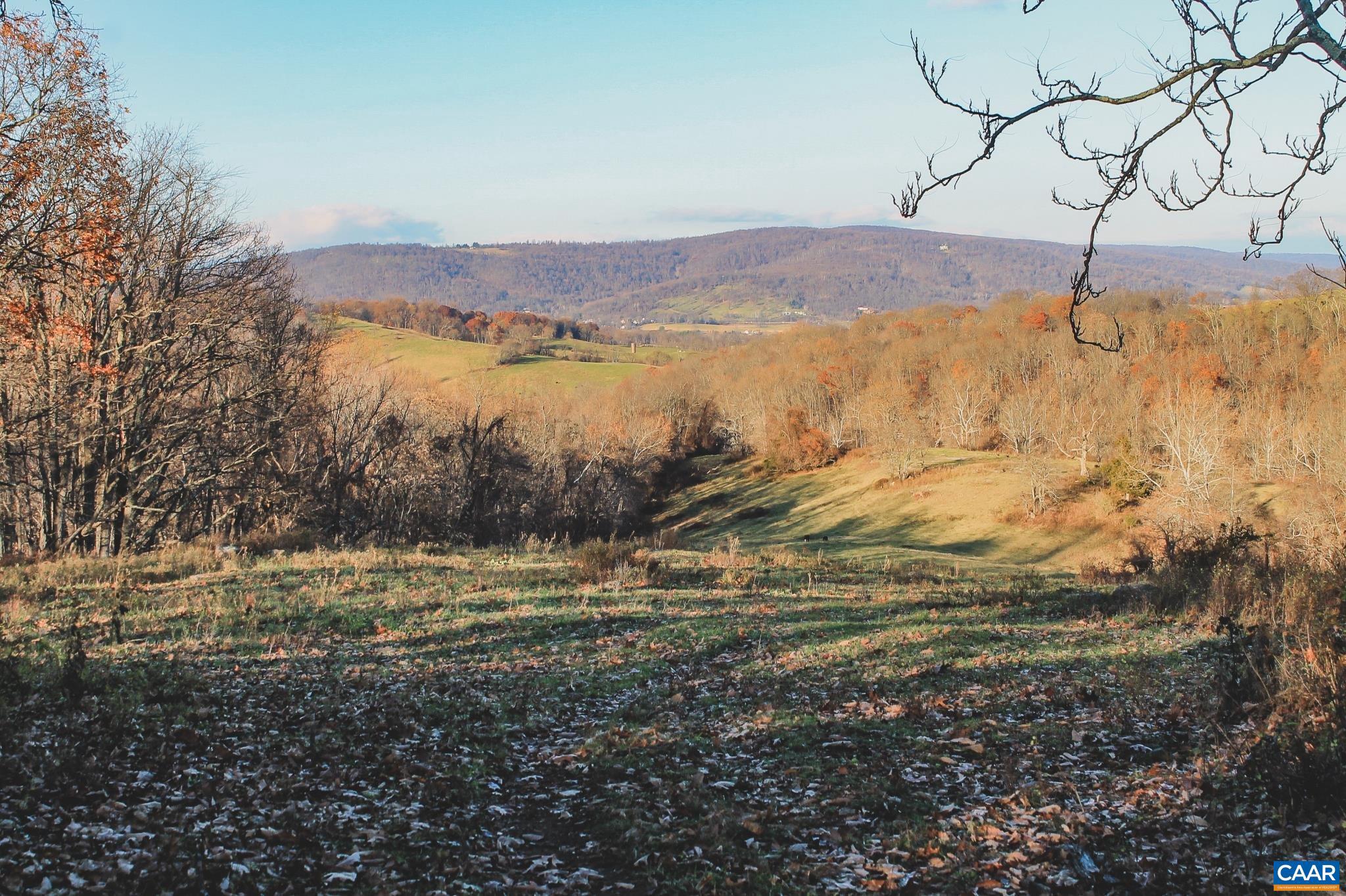 NONE AVAILABLE - Land