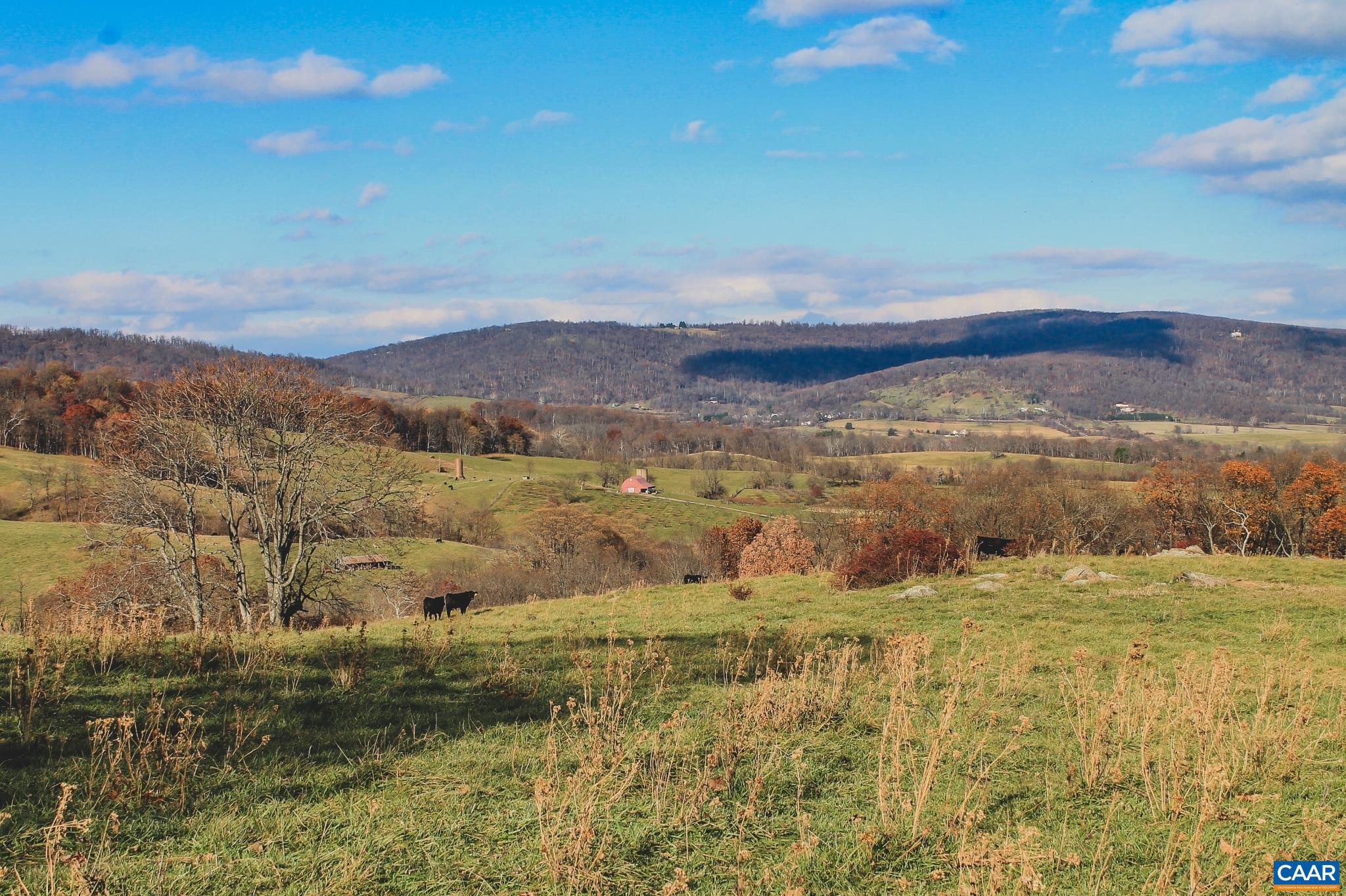 NONE AVAILABLE - Land