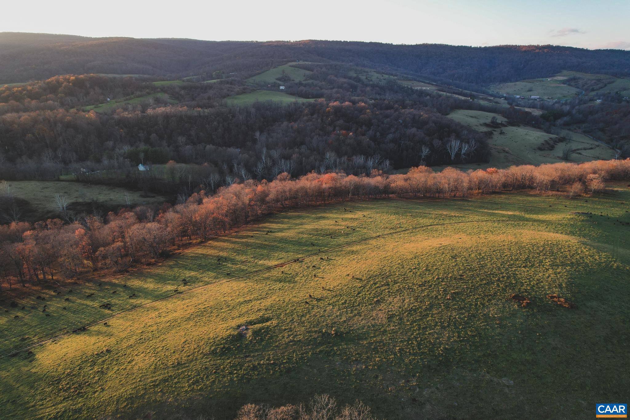 NONE AVAILABLE - Land