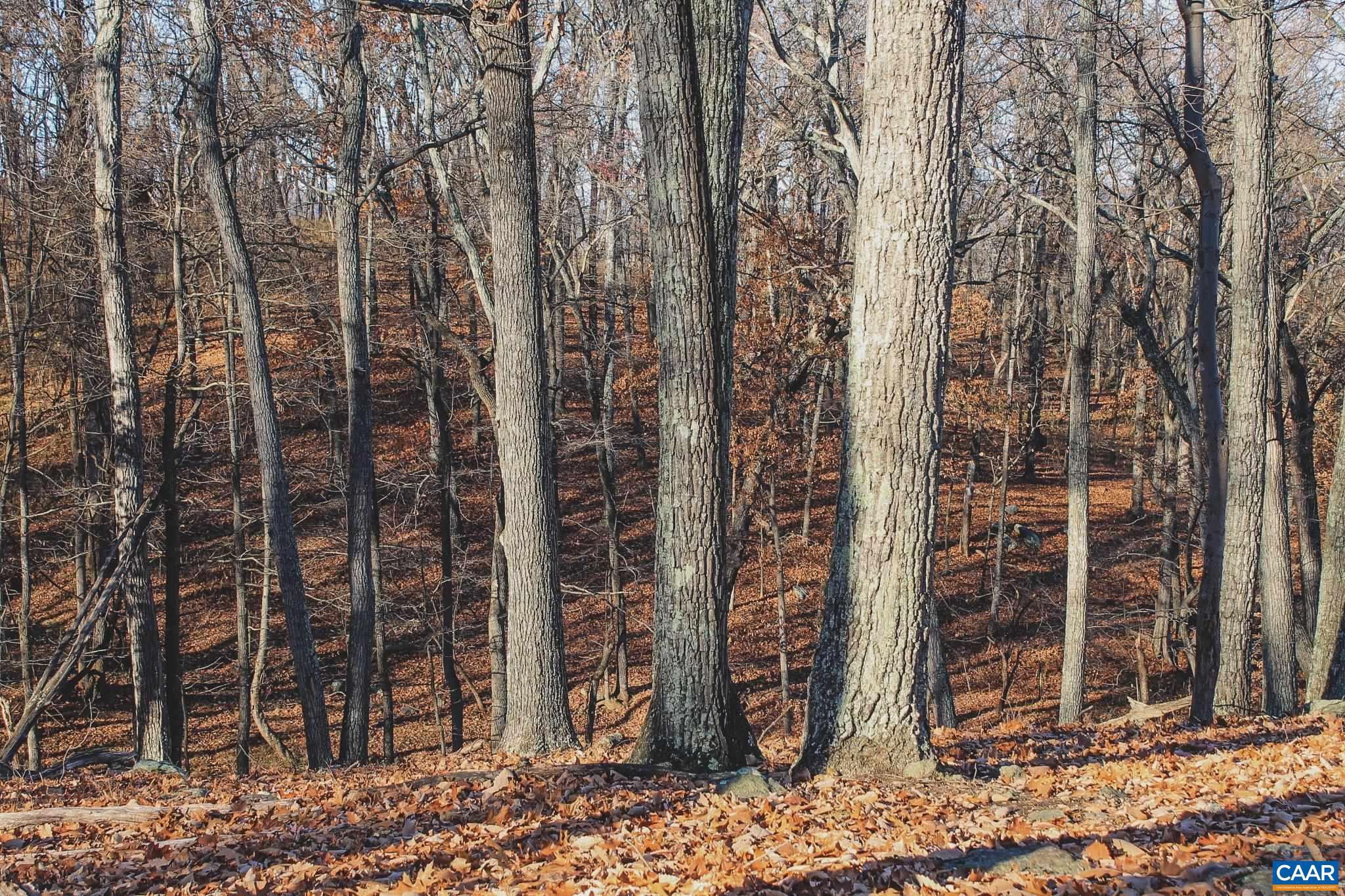 NONE AVAILABLE - Land