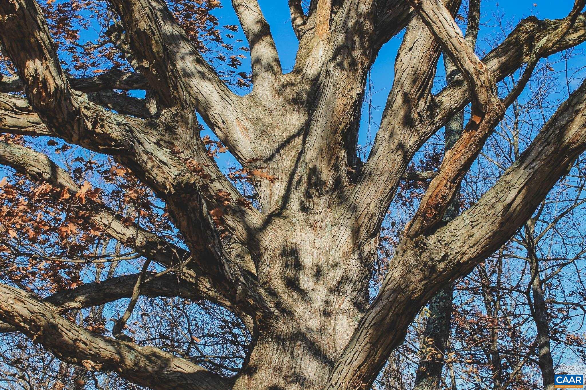 NONE AVAILABLE - Land