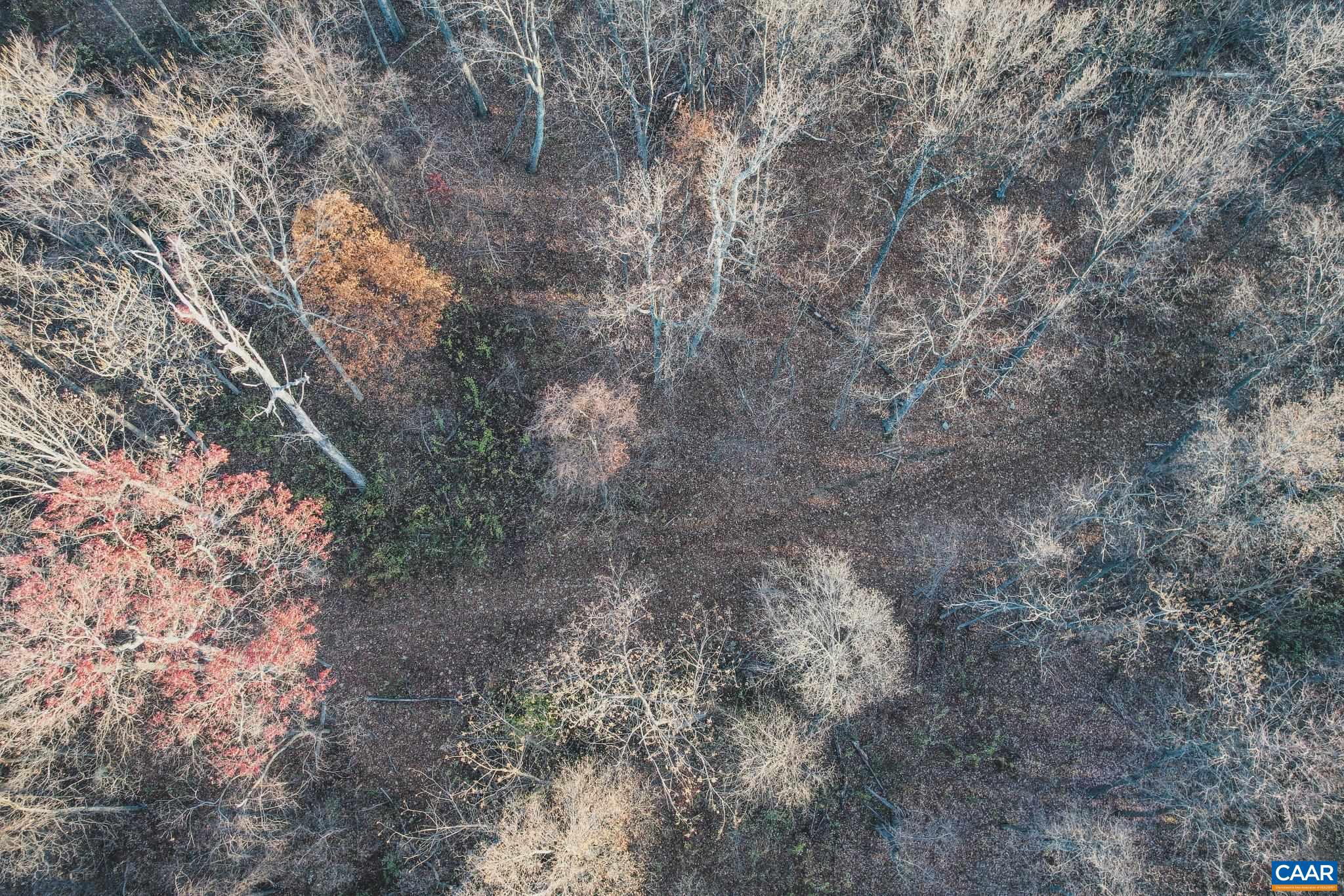 NONE AVAILABLE - Land