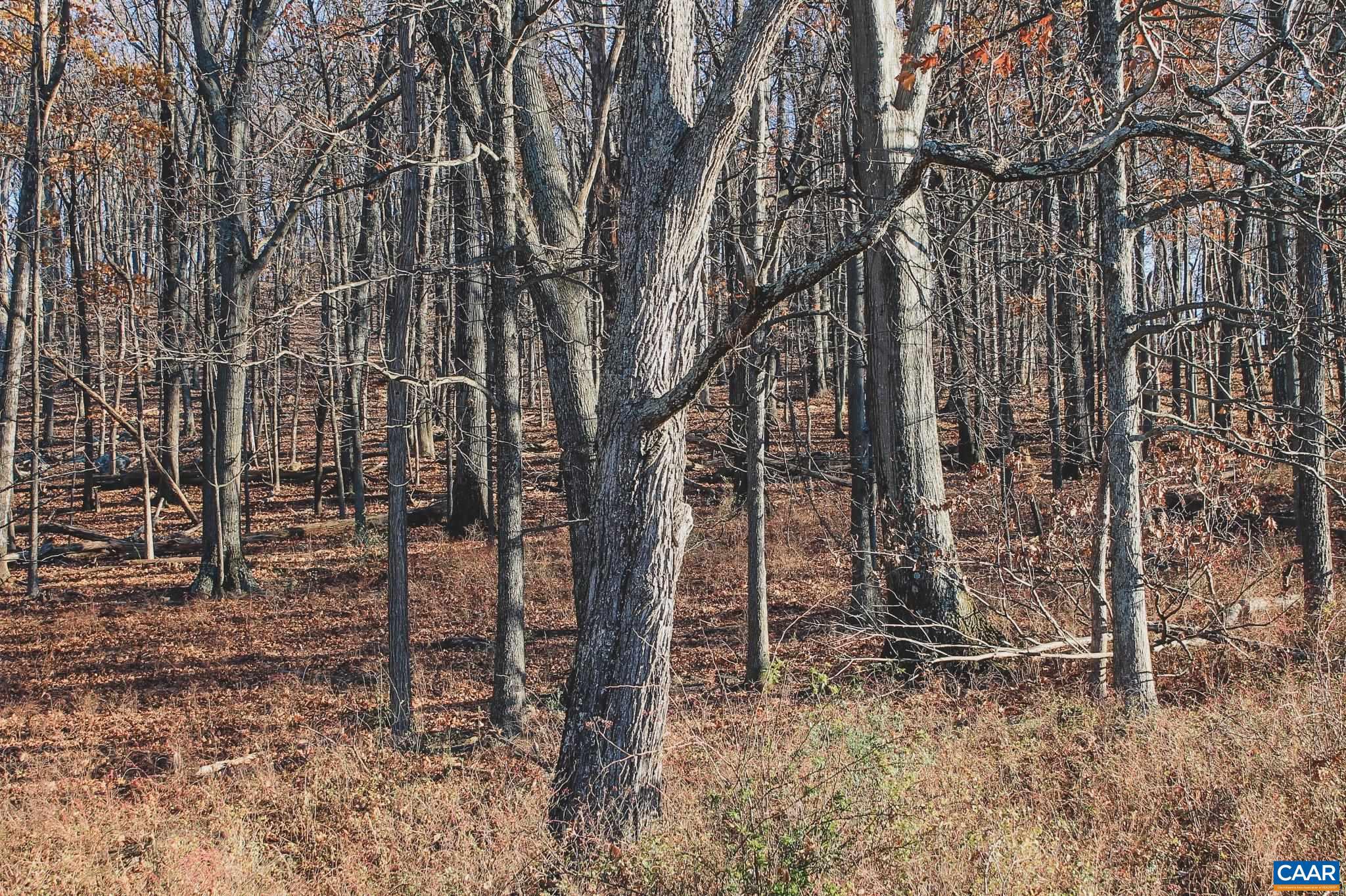 NONE AVAILABLE - Land